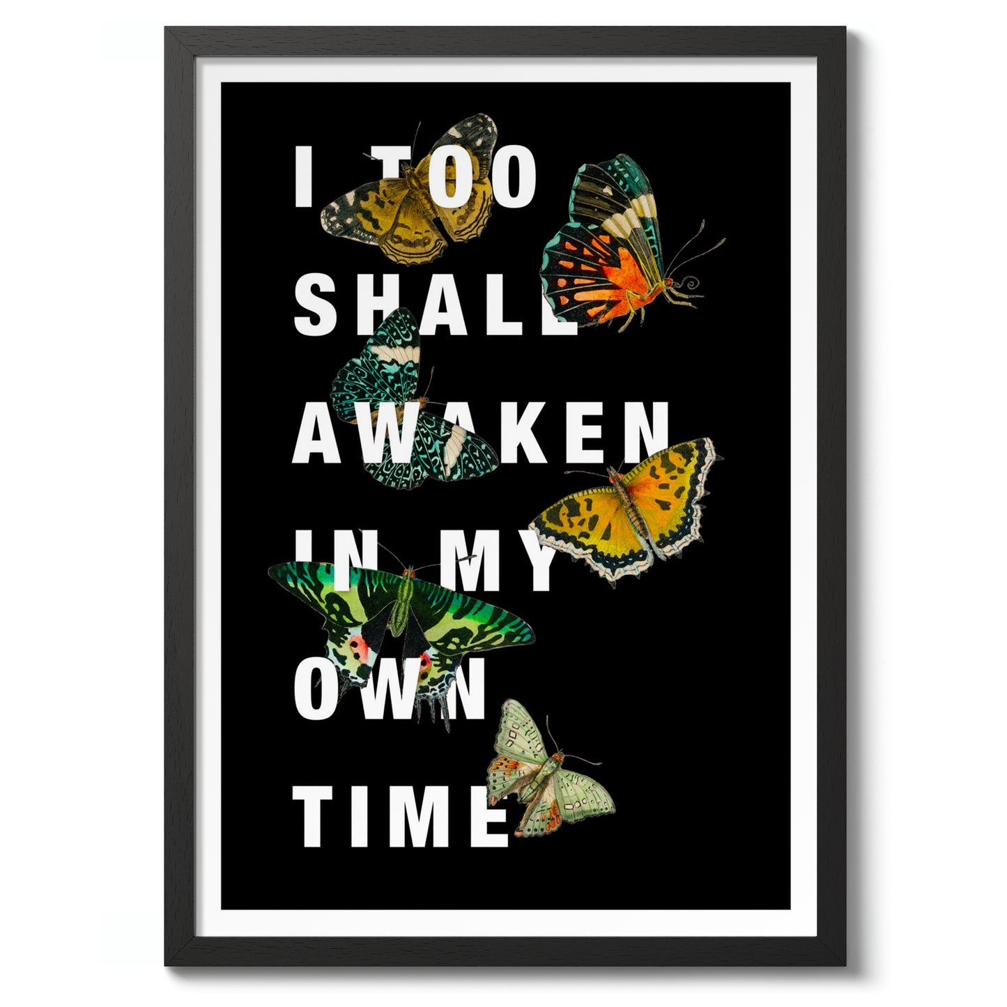 Jag ska också vakna