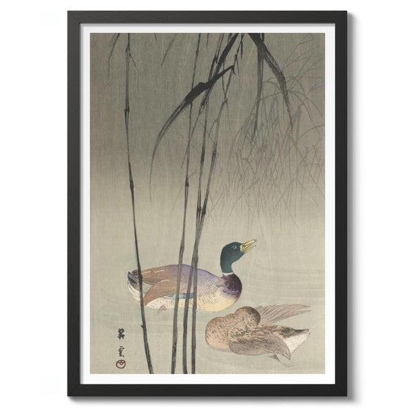 Duck and Bamboo