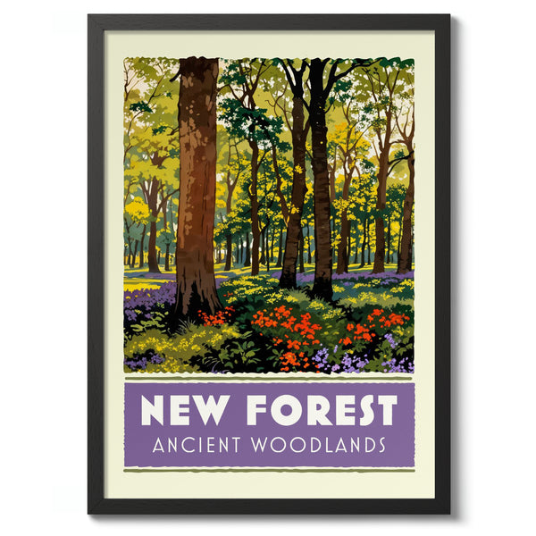 New Forest, Ancient Woodlands