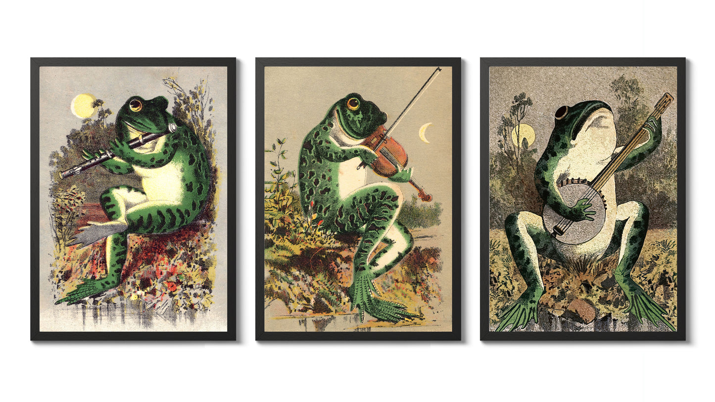 Kikkers in het moeras