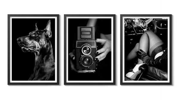 Black & White Selection I