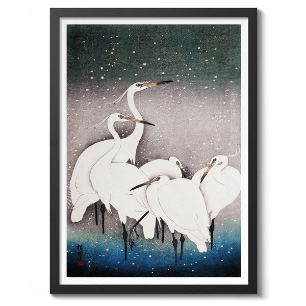 Egrets in the Snow