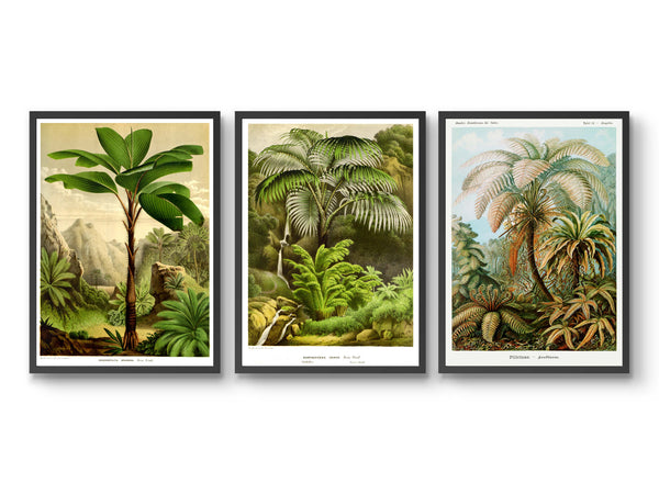 Botanical Trees - Set of 3