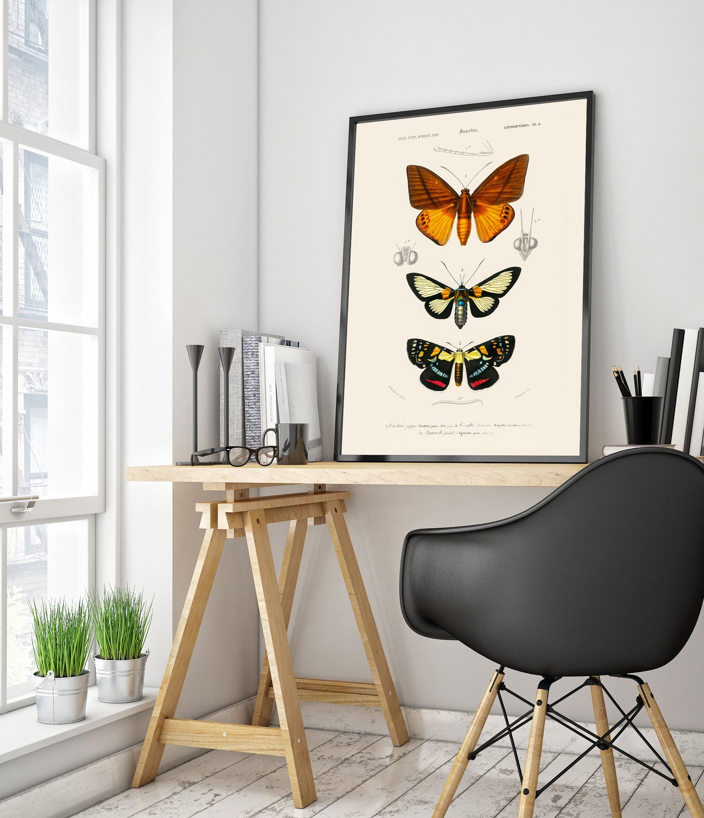 Fjärilar och nattfjärilar