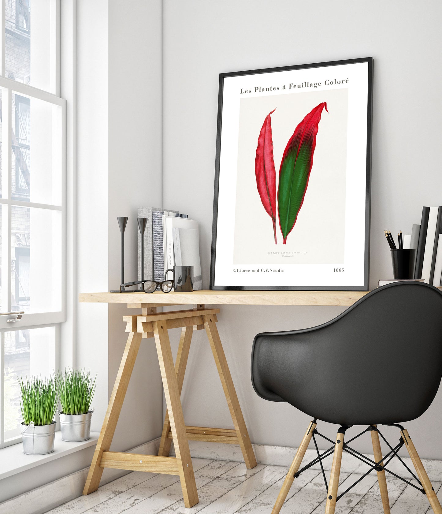 Feuille de Dracaena Ferrea