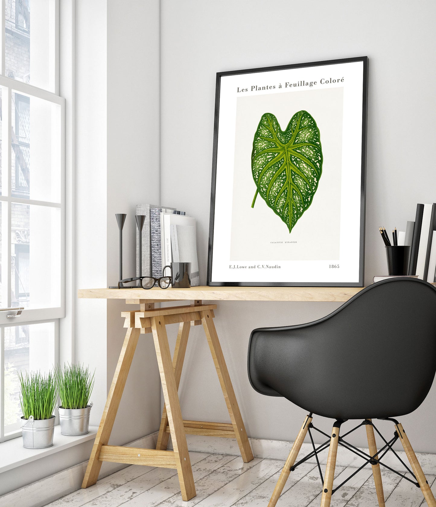 Grüner Caladium Mirabile