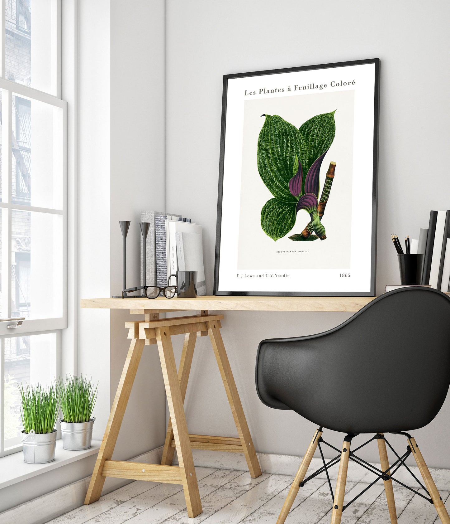 Groene Dichorisandra Mosaica