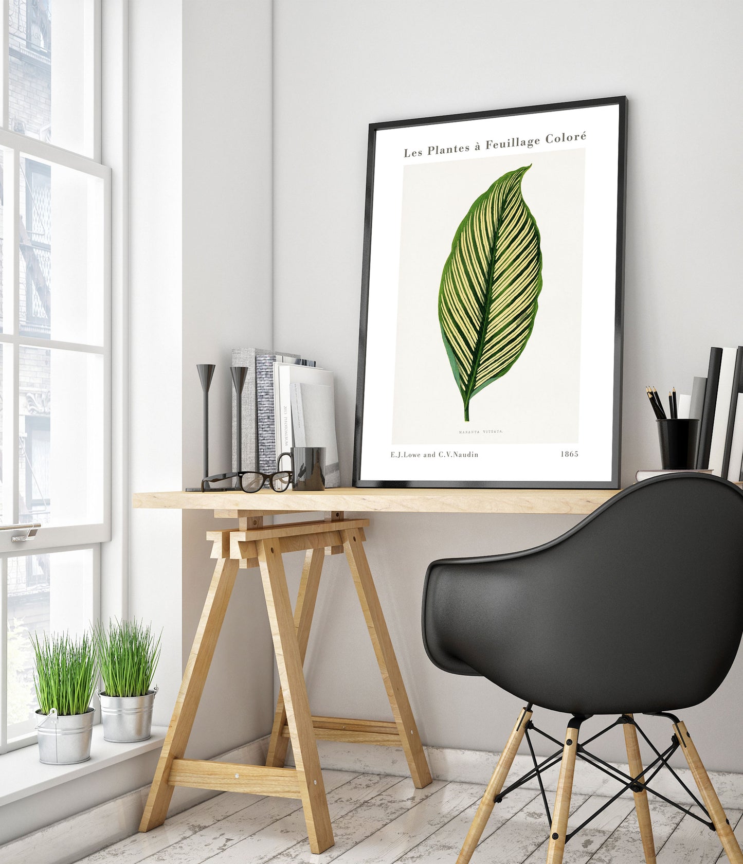 Groene Maranta Vittata