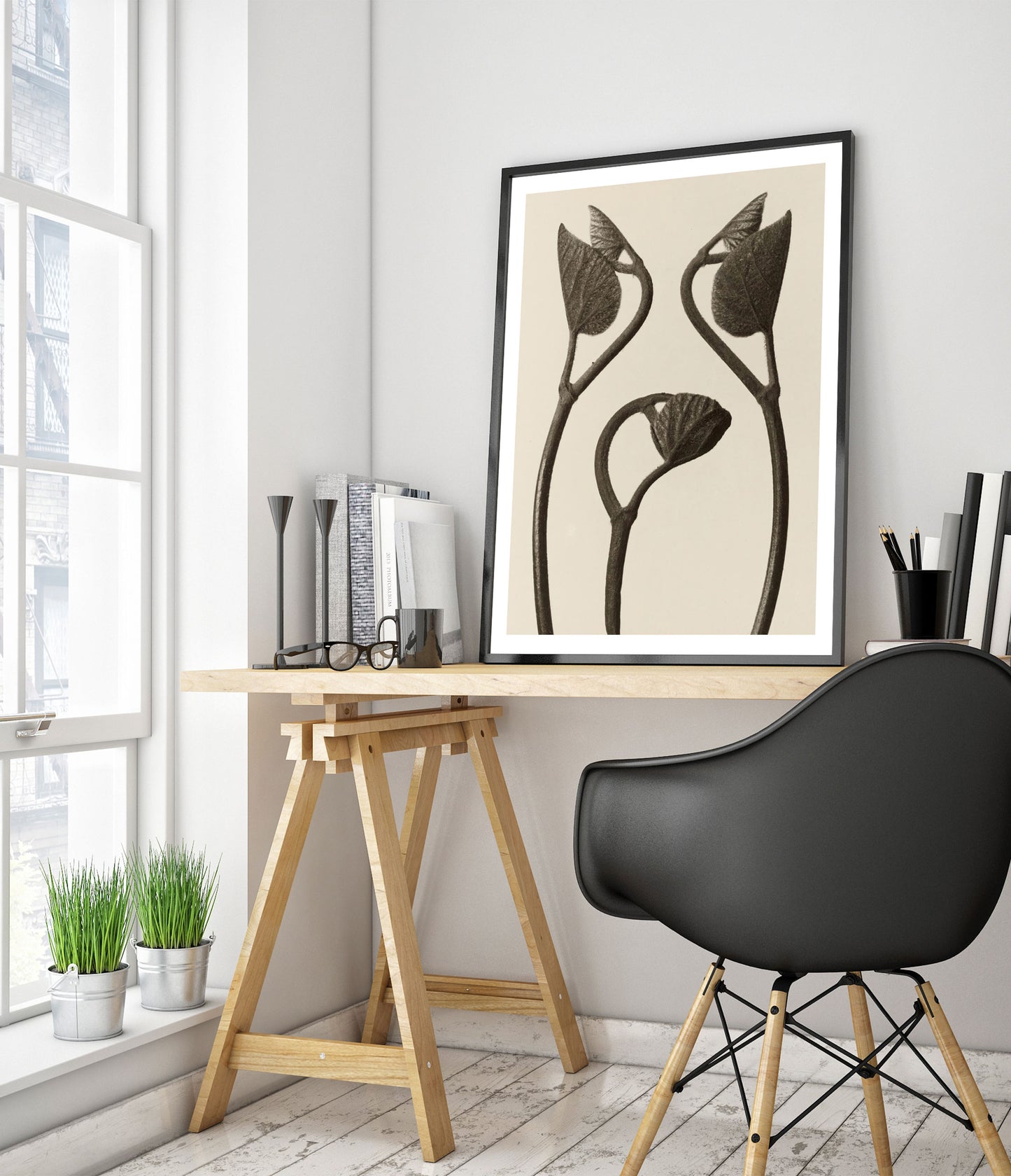 Tiges et feuilles d'Aristoloche