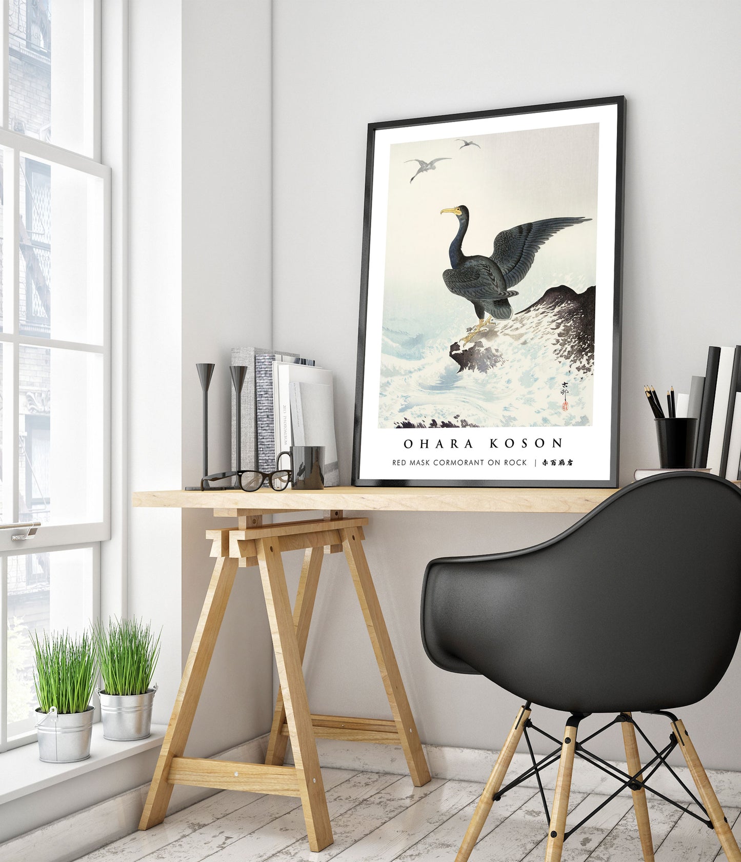 Red Mask Cormorant on Rock