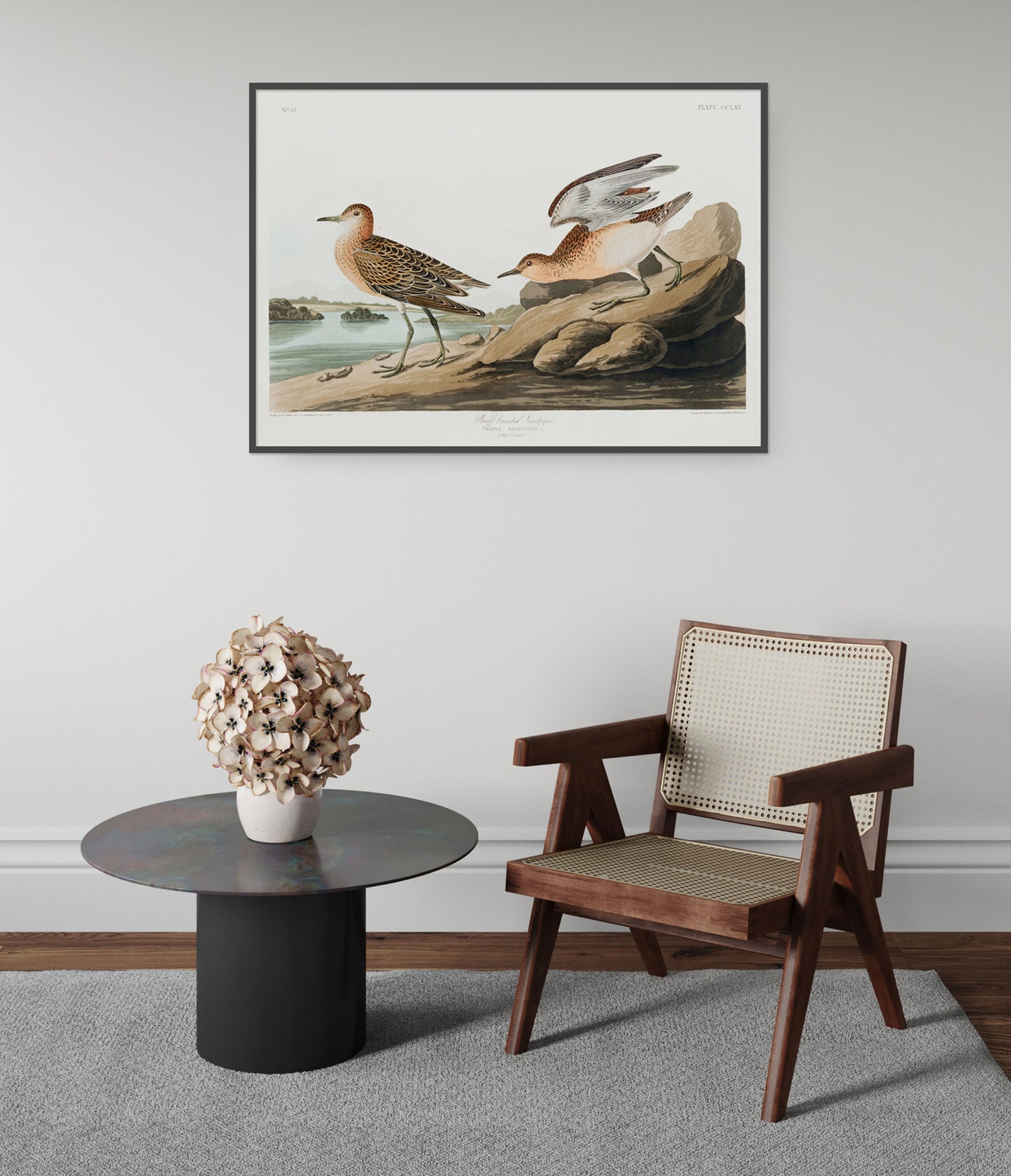 Buffbröstad sandlöpare