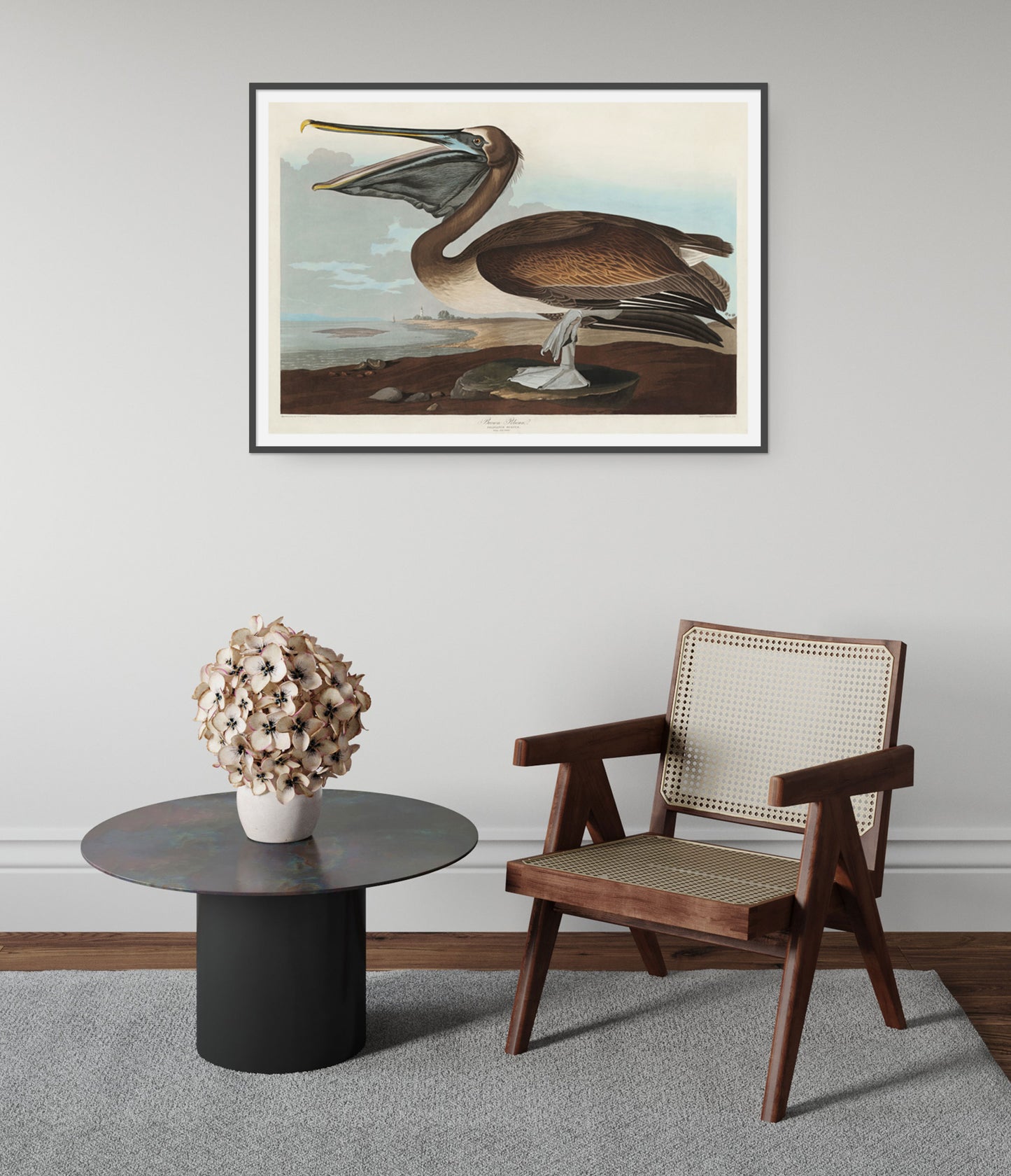 Brown Pelican