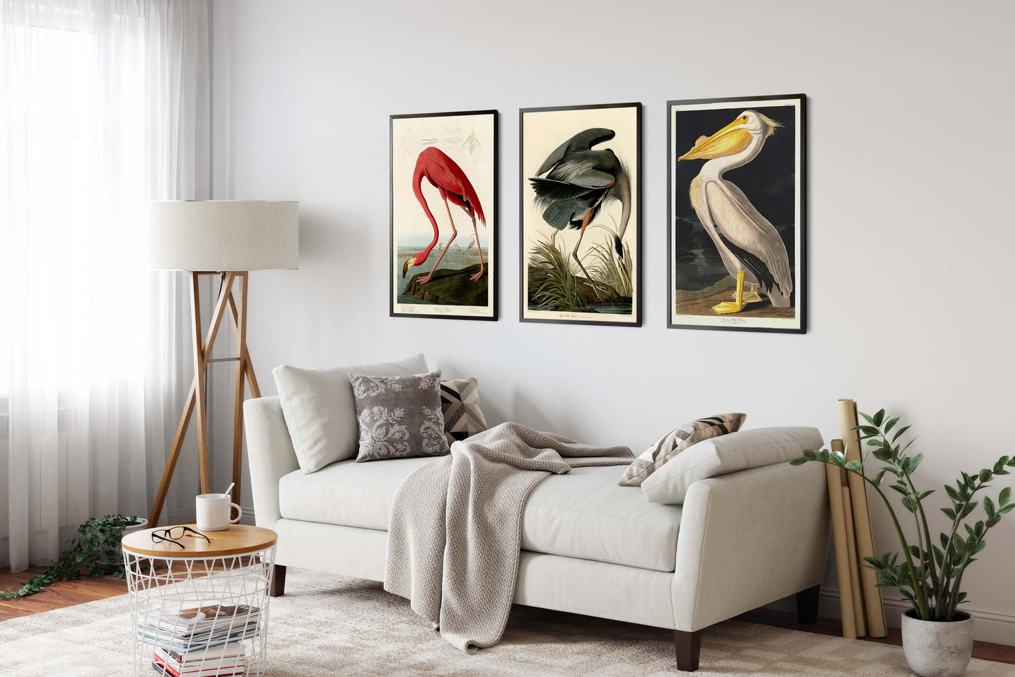 Birds of America - Set of 3