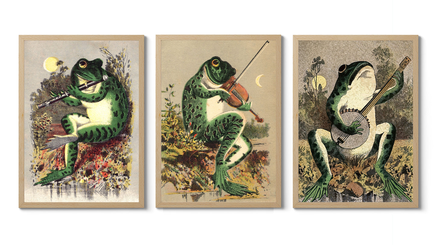 Kikkers in het moeras