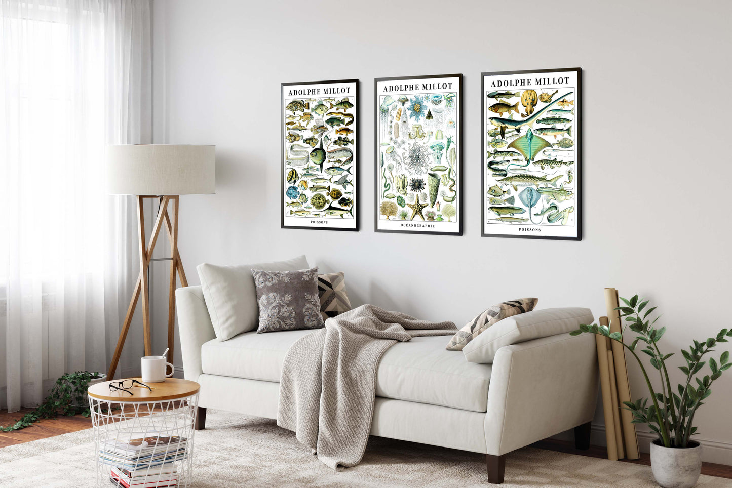 Adolphe Millot Vie Marine - Ensemble de 3