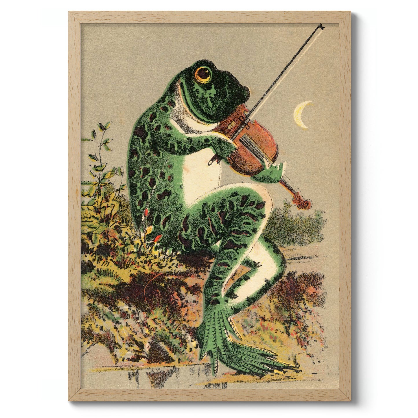 Kikker die viool speelt