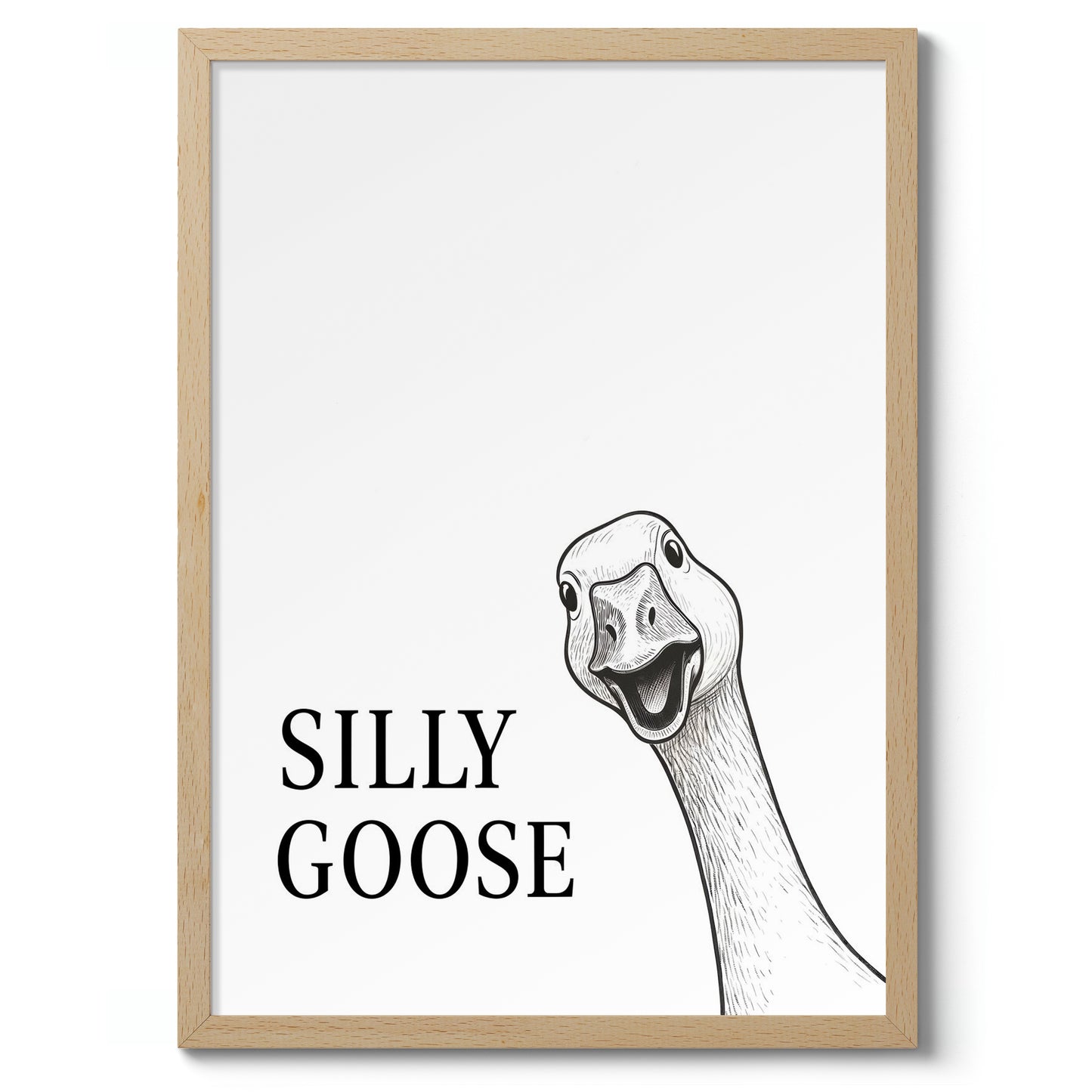 Silly Goose