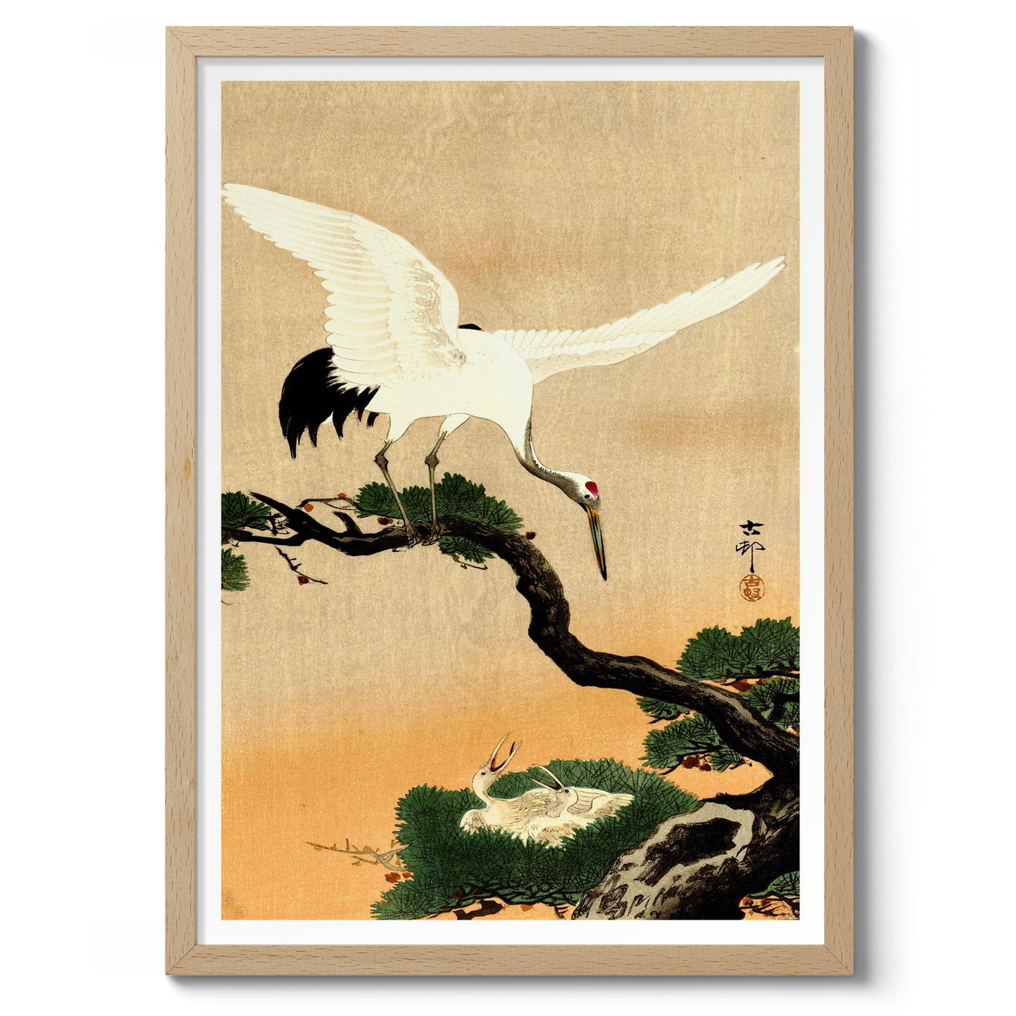 Kraan voedt haar kuikens