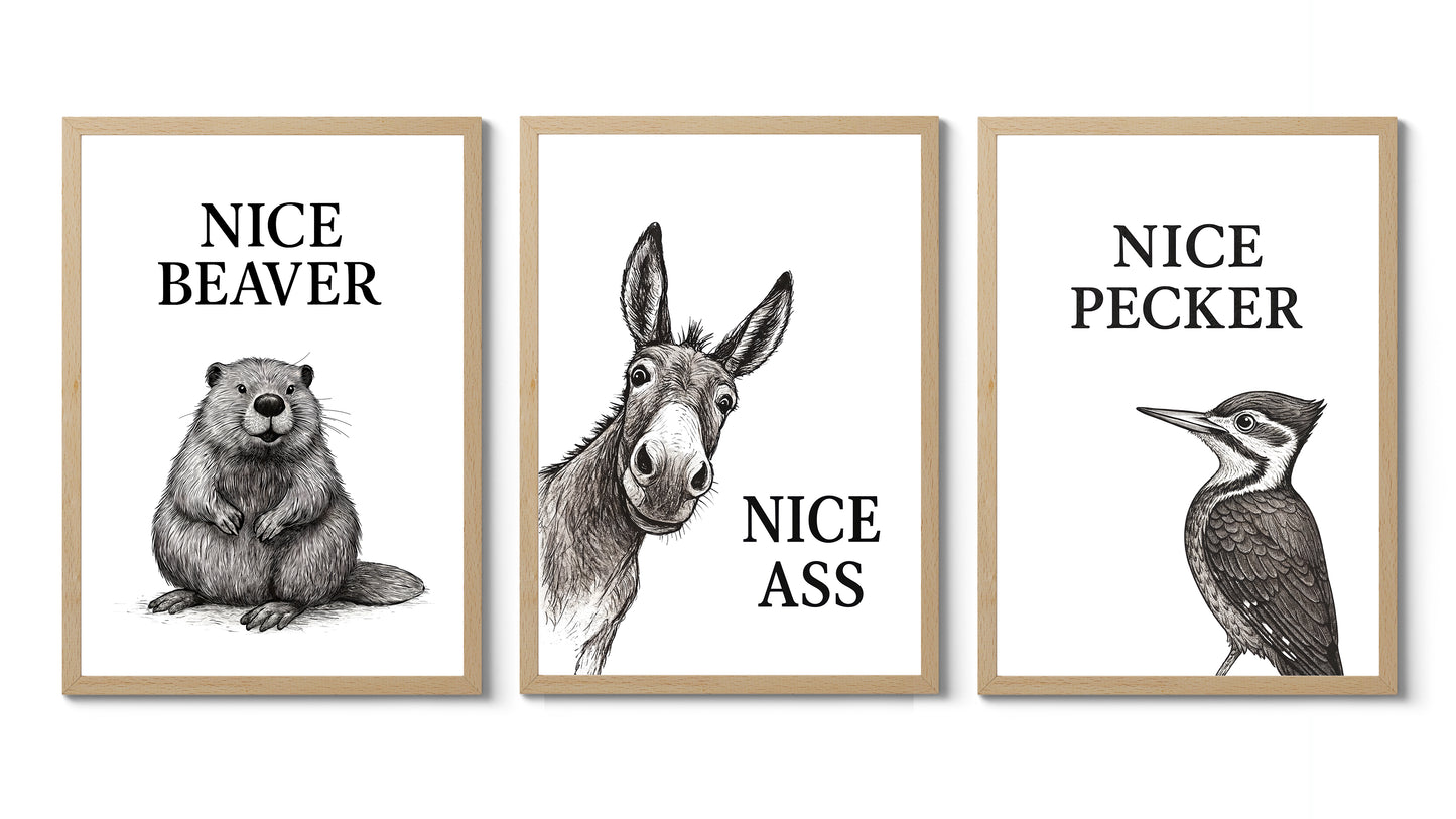 Collection d'animaux drôles