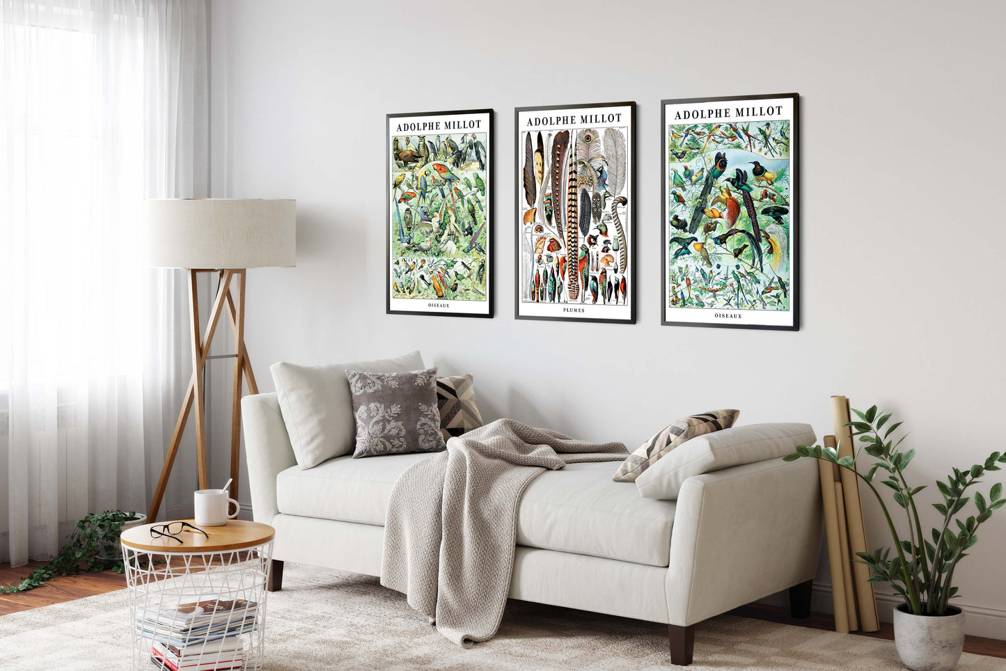 Adolphe Millot Birds - Set of 3