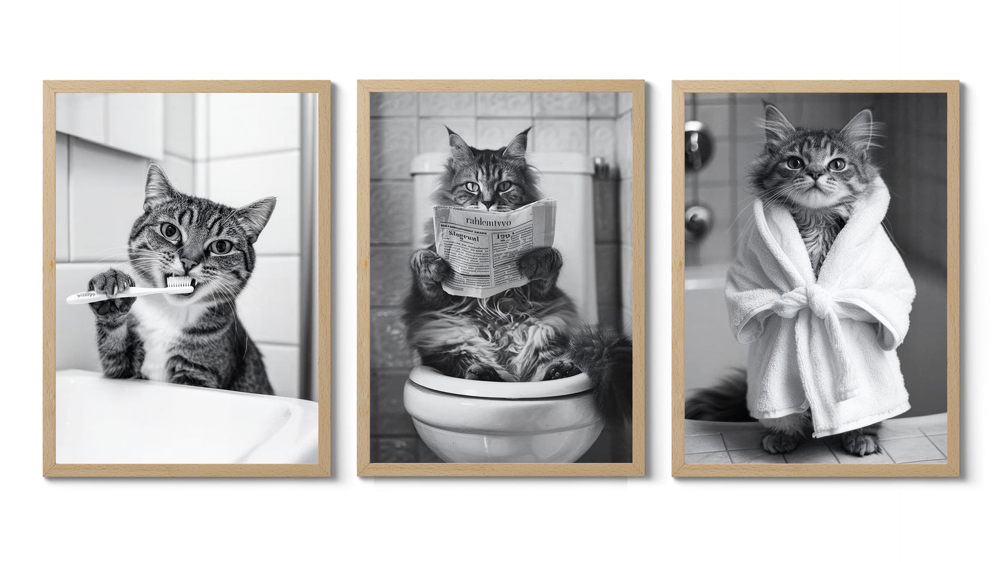 Badrum Katter Fotografi Trio