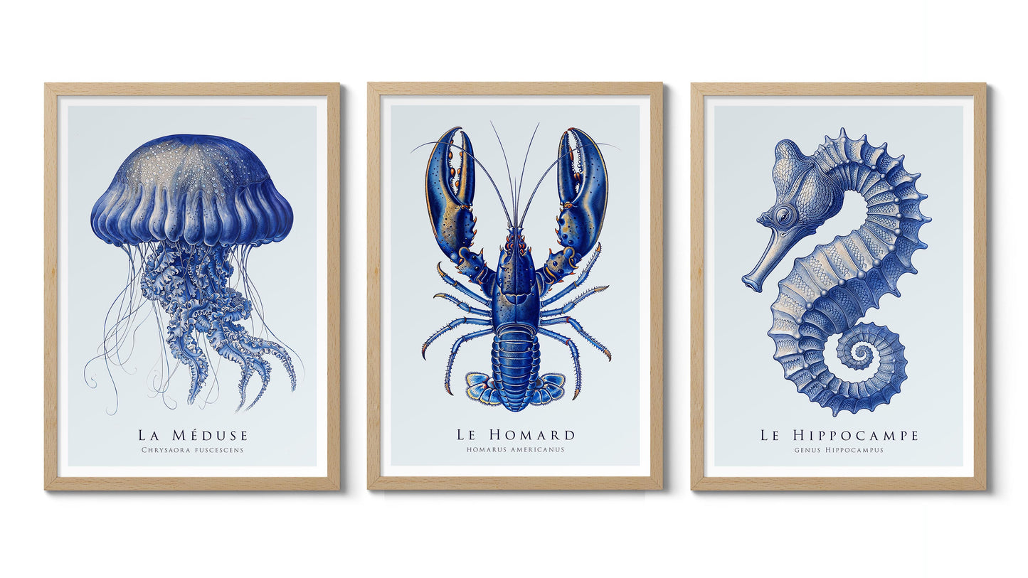 Blaue Meer Lebensausstellung