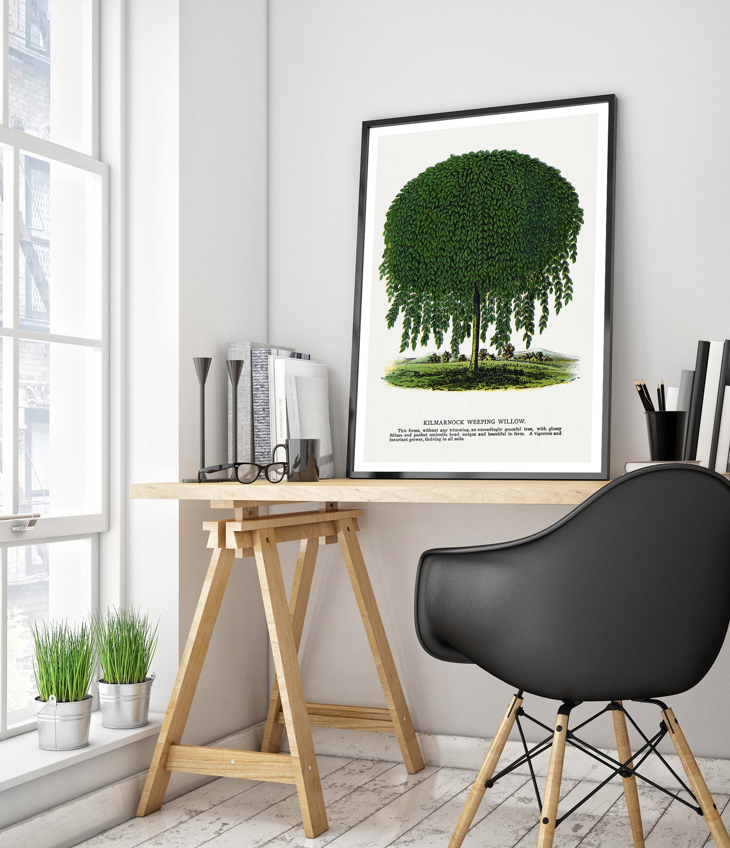 Kilmarnock treurwilg