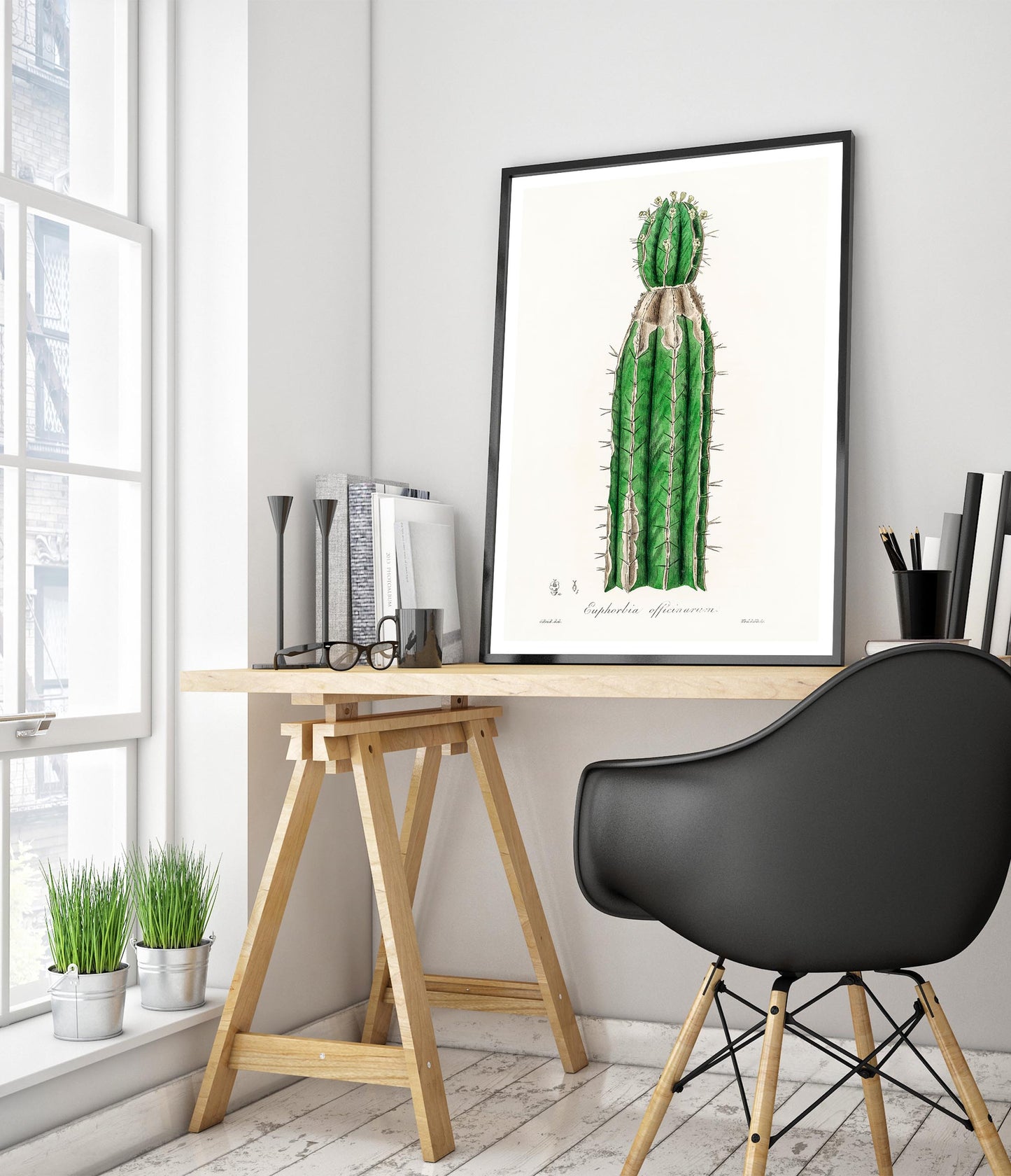 Euphorbia Officinarum