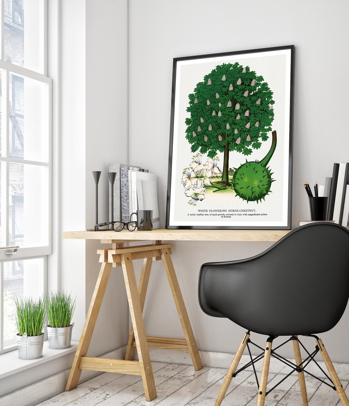 Wit Bloeiende Paardenkastanje