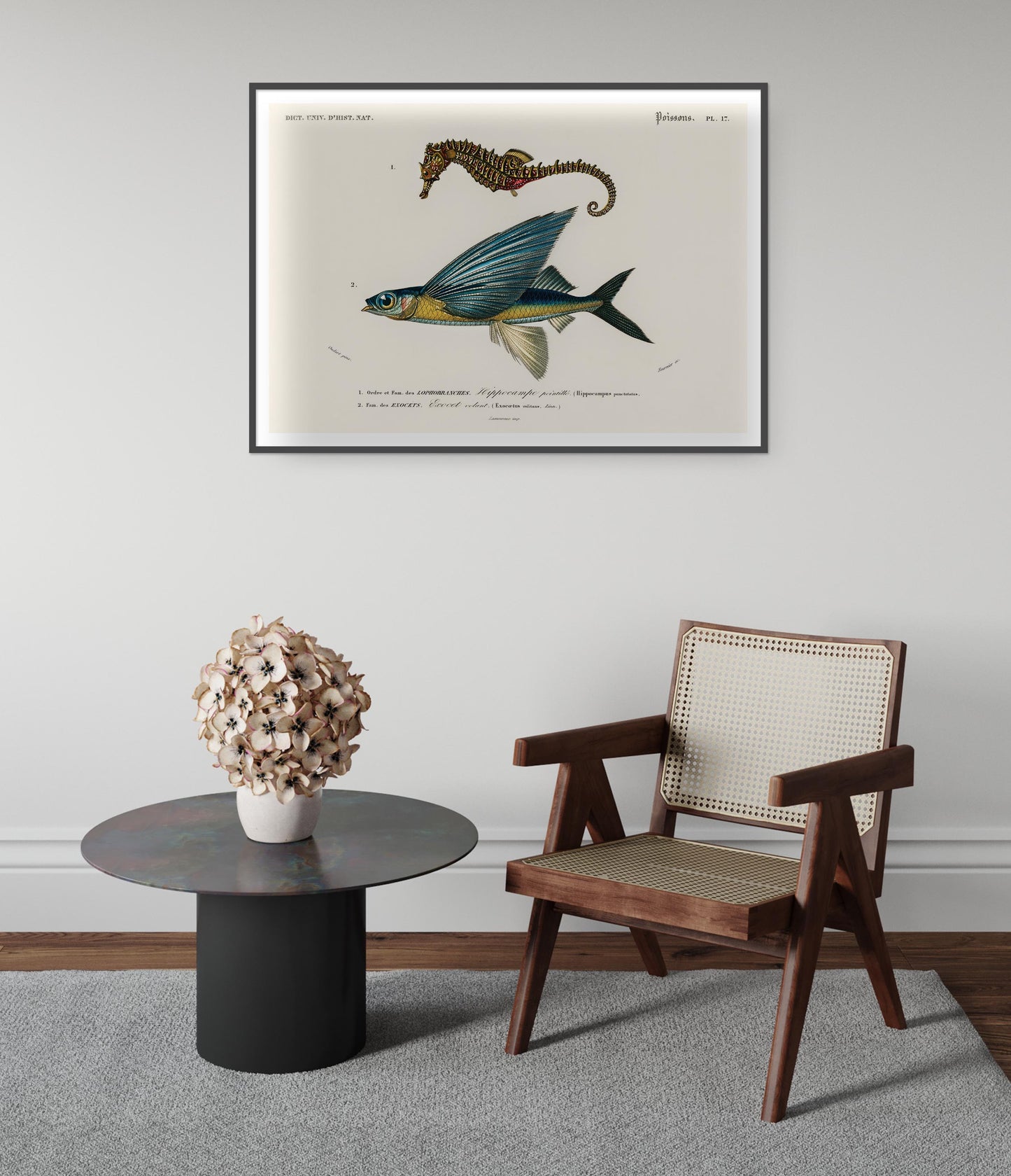 Seepferdchen & fliegender Fisch