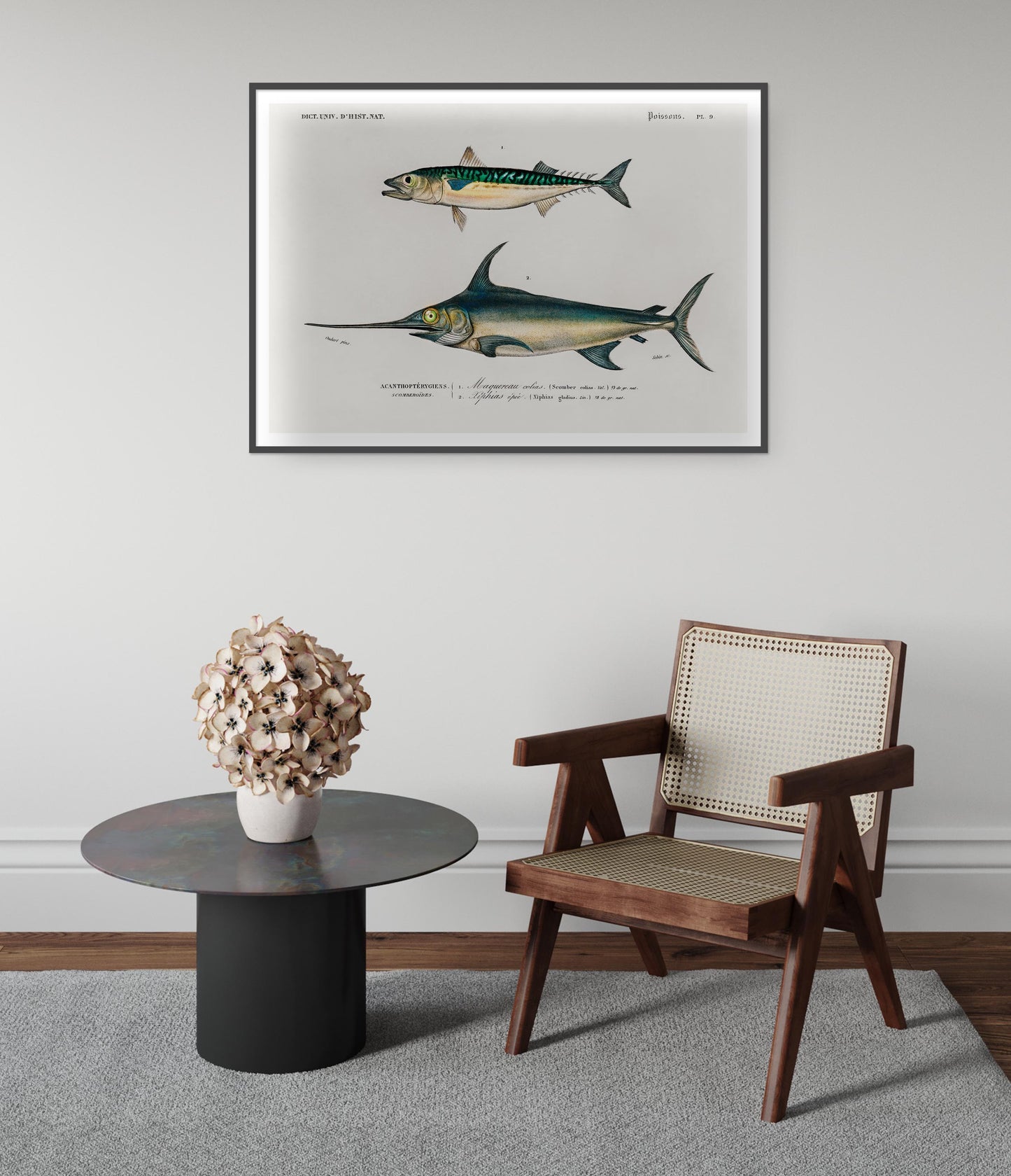 Mackerel & Swordfish