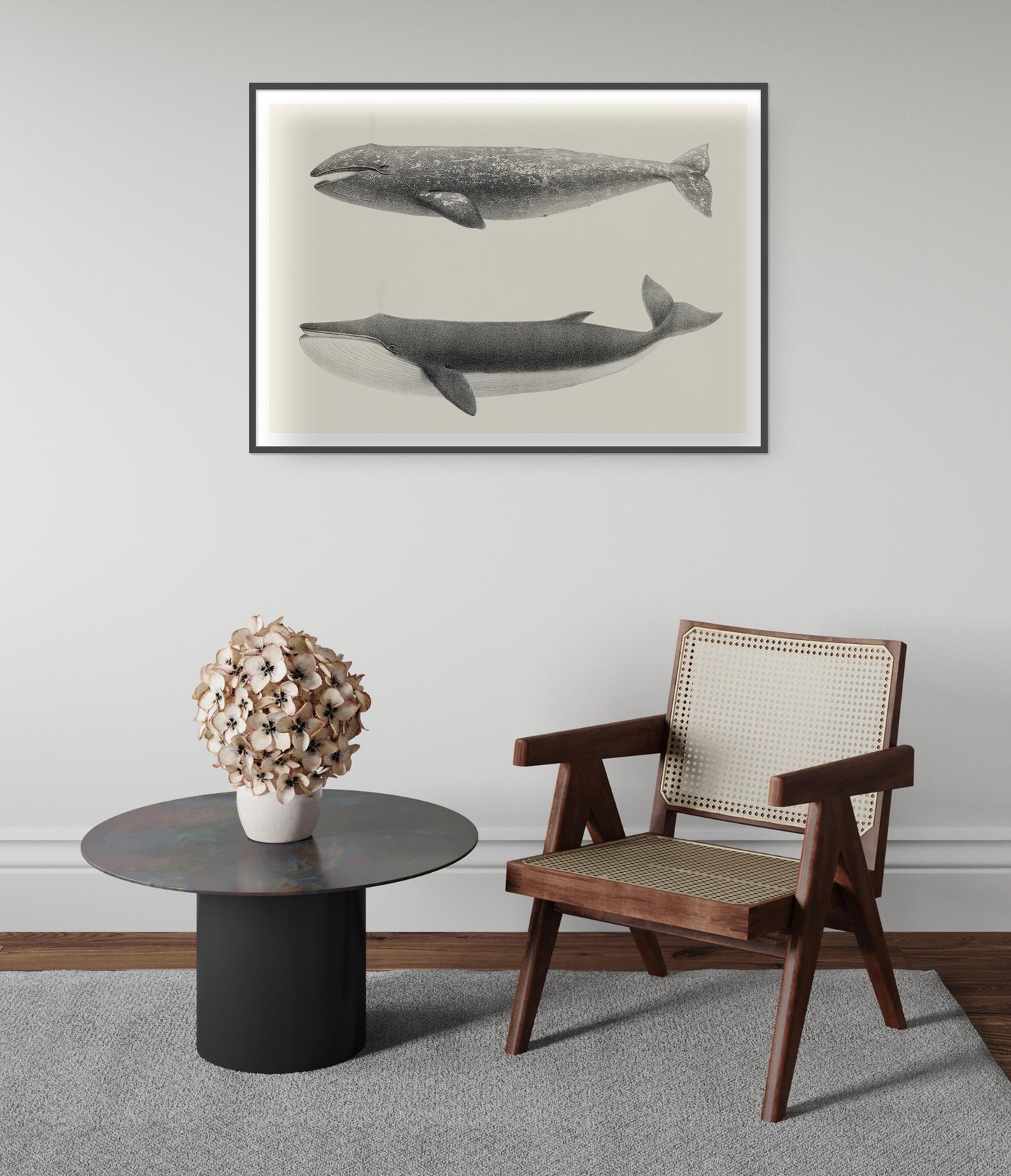 California Grey Whales