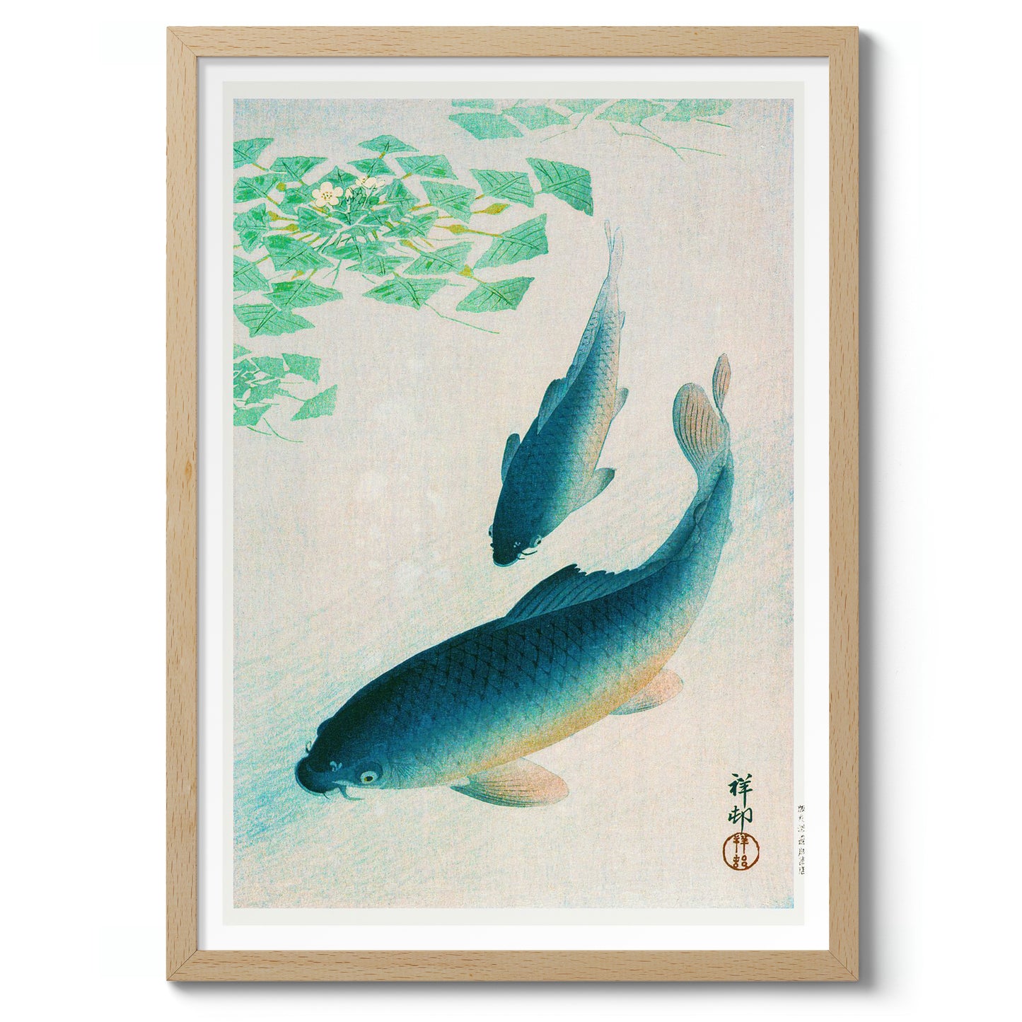 Blue Koi Fish