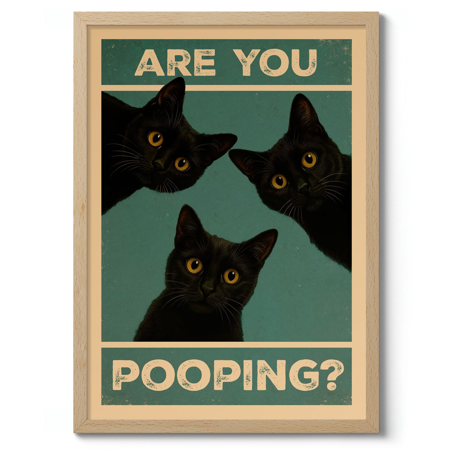 Är du bajsnödig? Katter