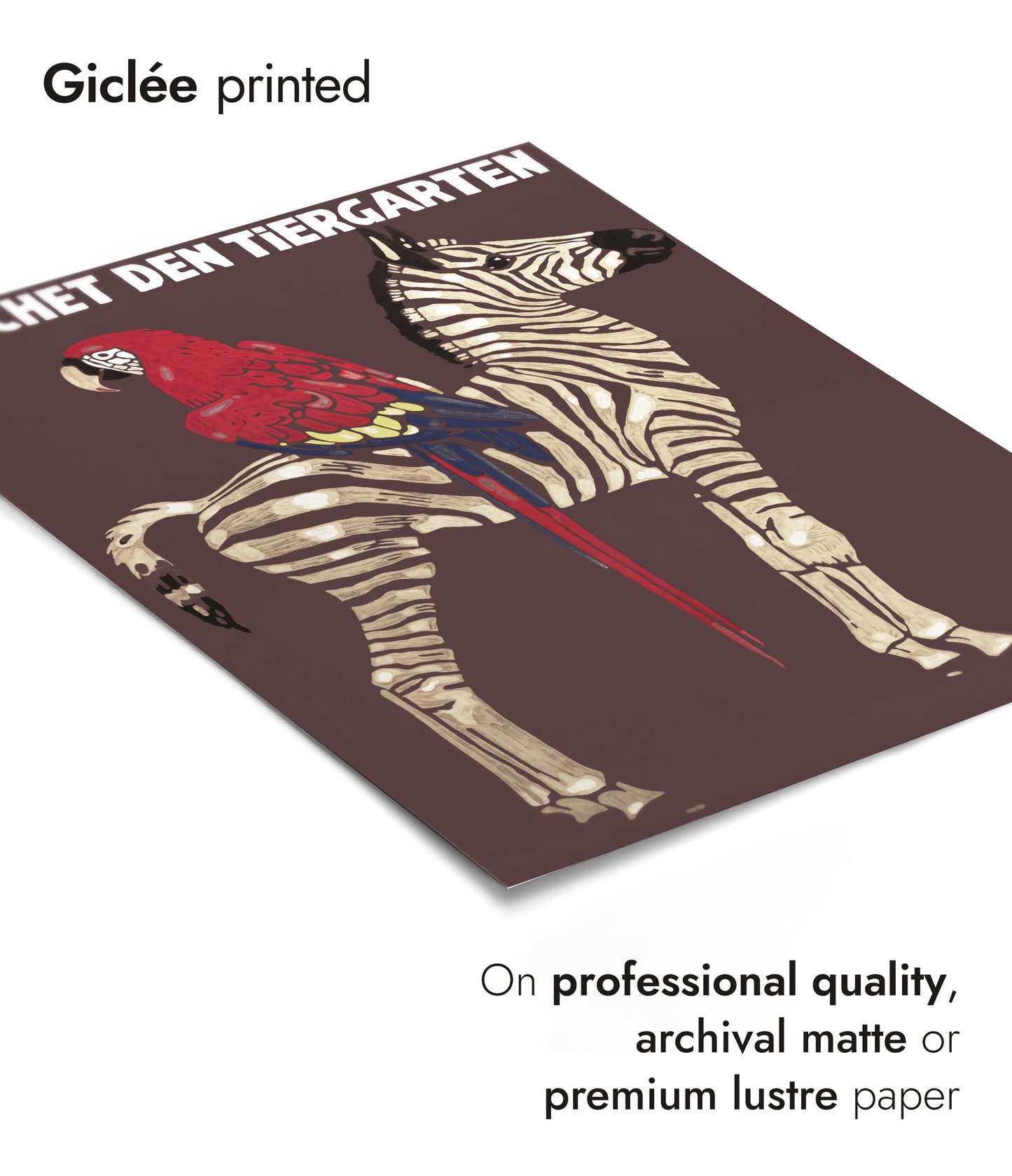 1912 Parrot & Zebra, Munich