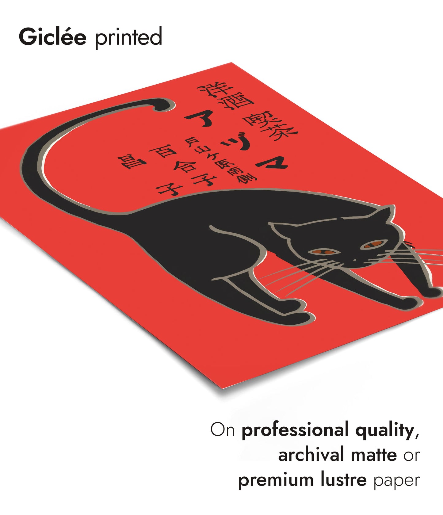 Svart katt tändsticksask