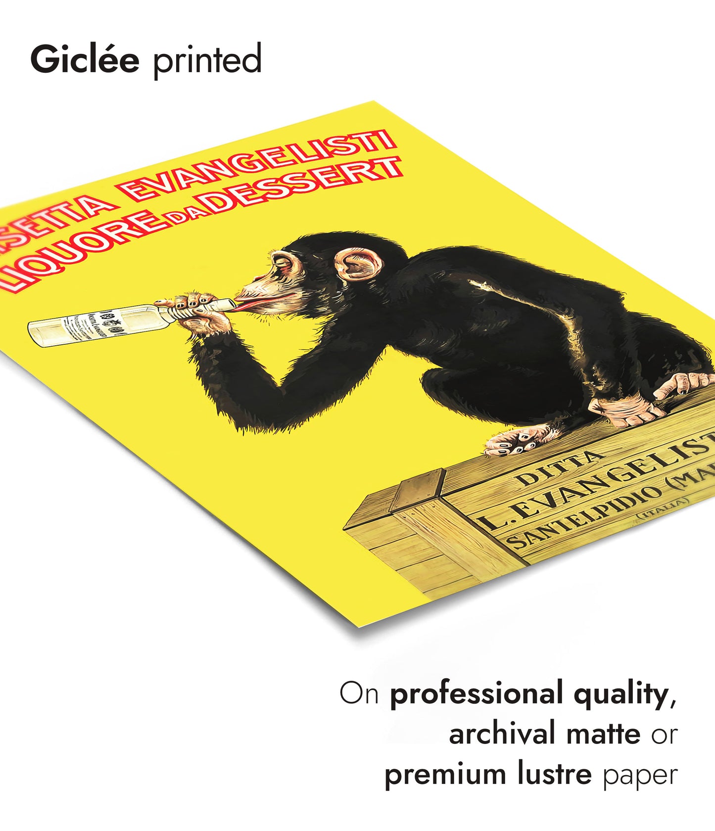 Anisetta Evangelisti Liquour