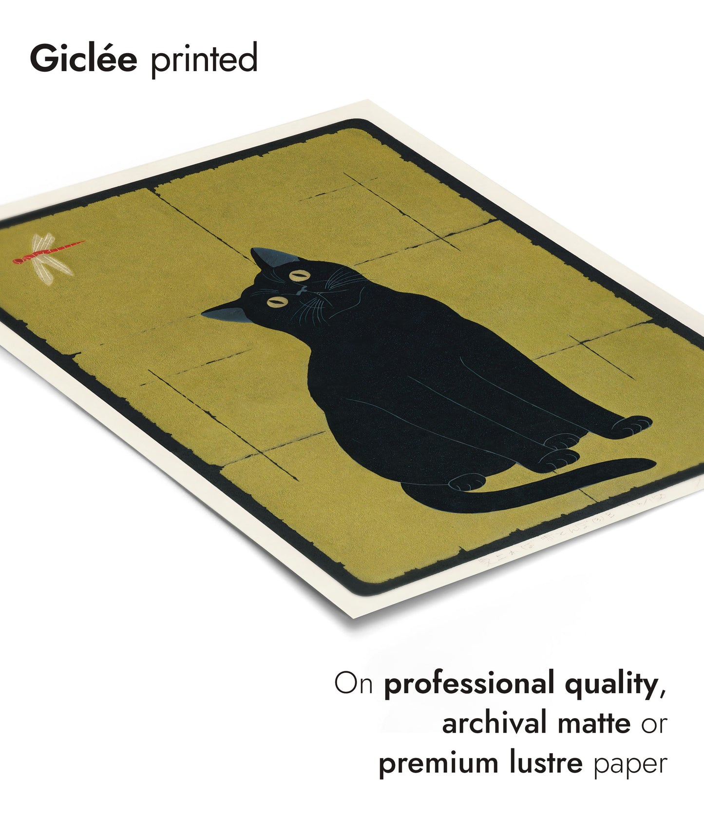 Svart katt med trollslända