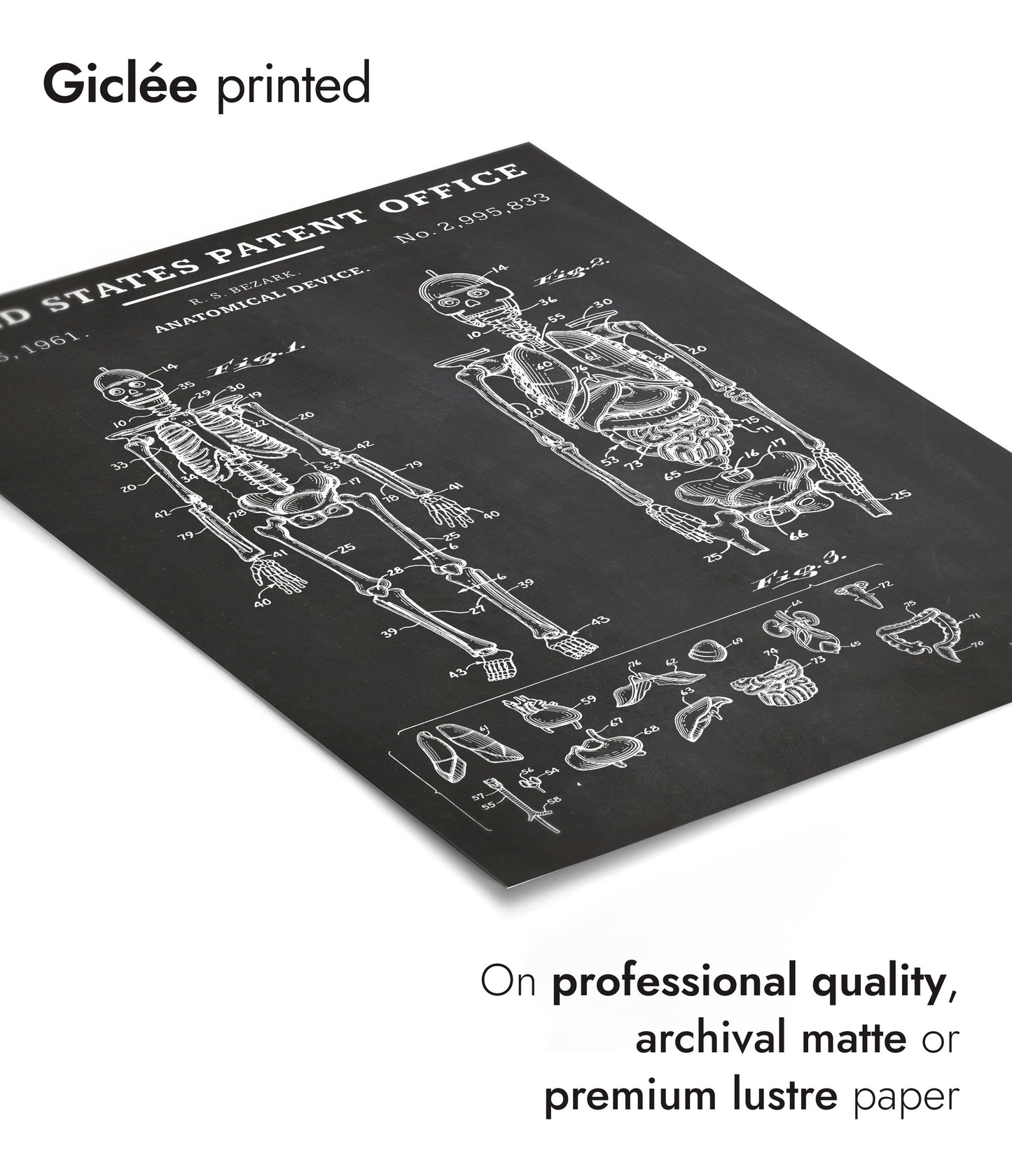 Dispositif anatomique