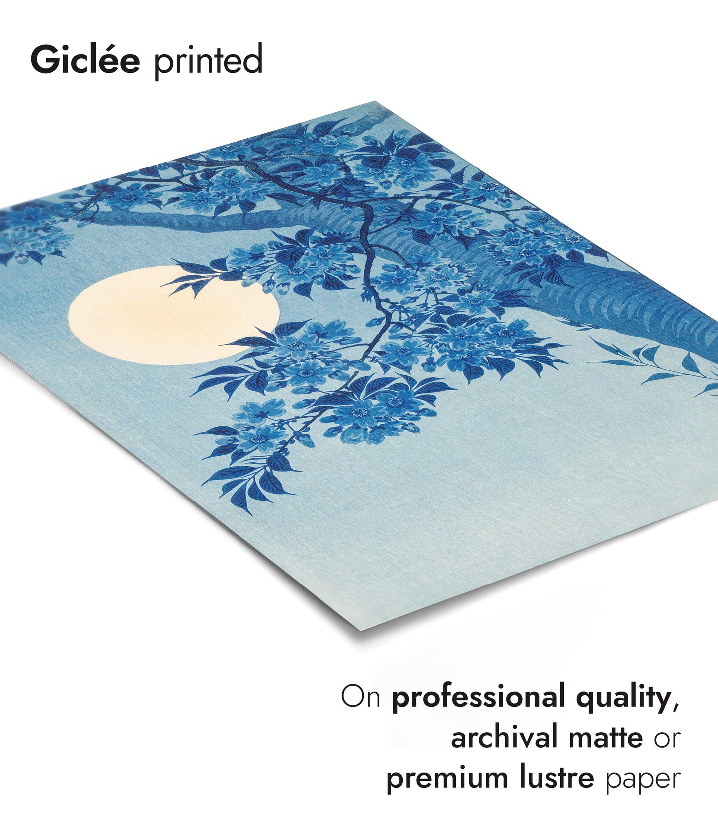 Blossoming Cherry on a Moonlit Night