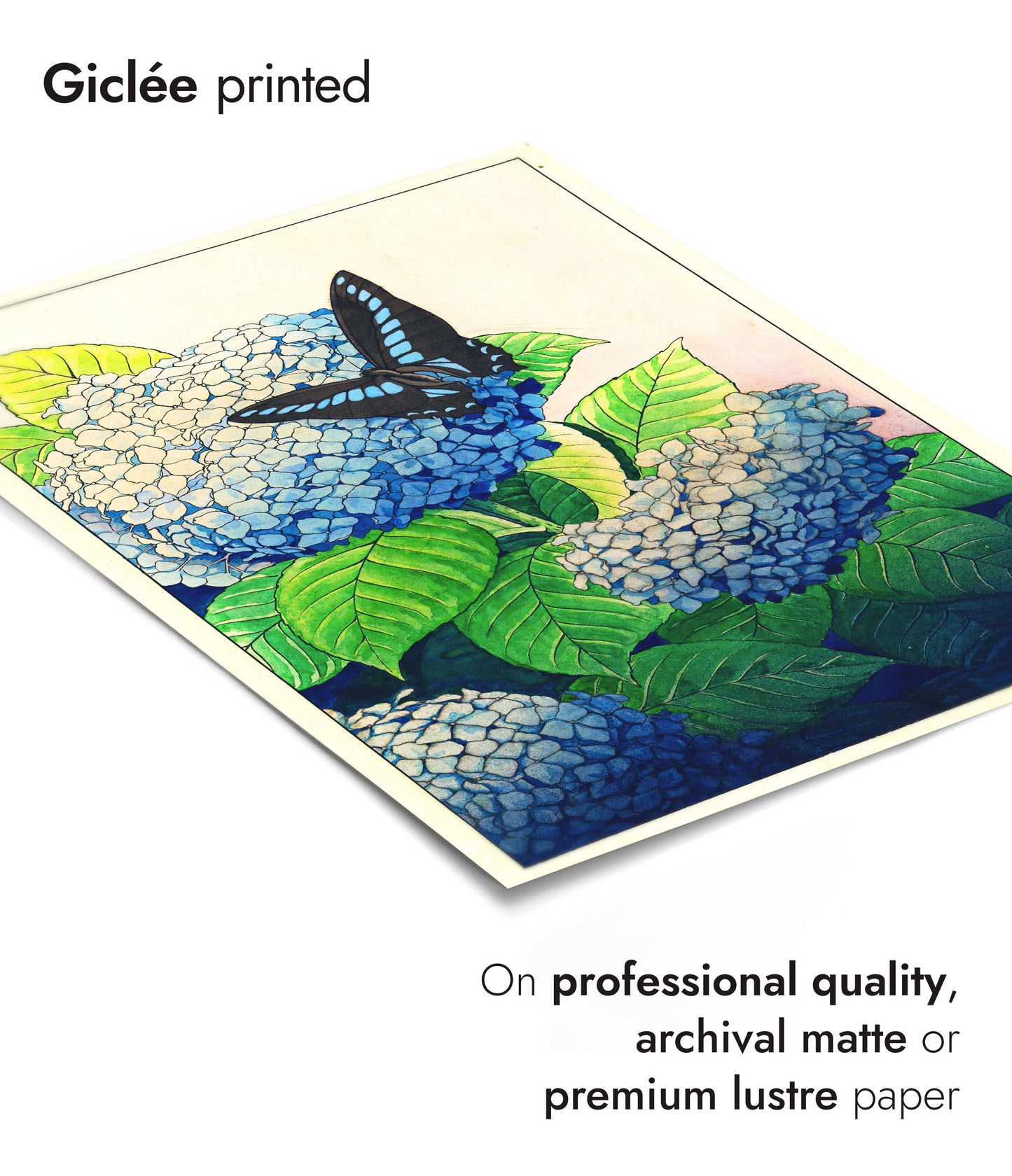 Hortensia's en Vlinder