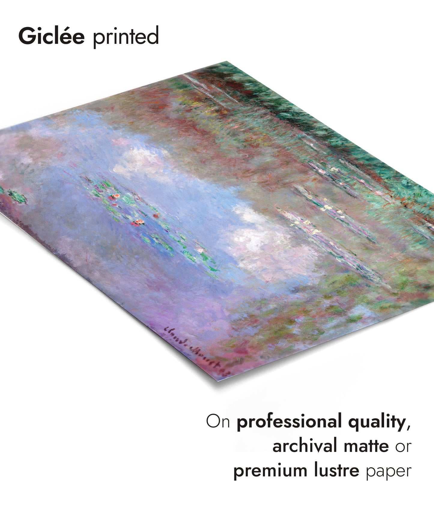 Nuages dans l'étang aux lys