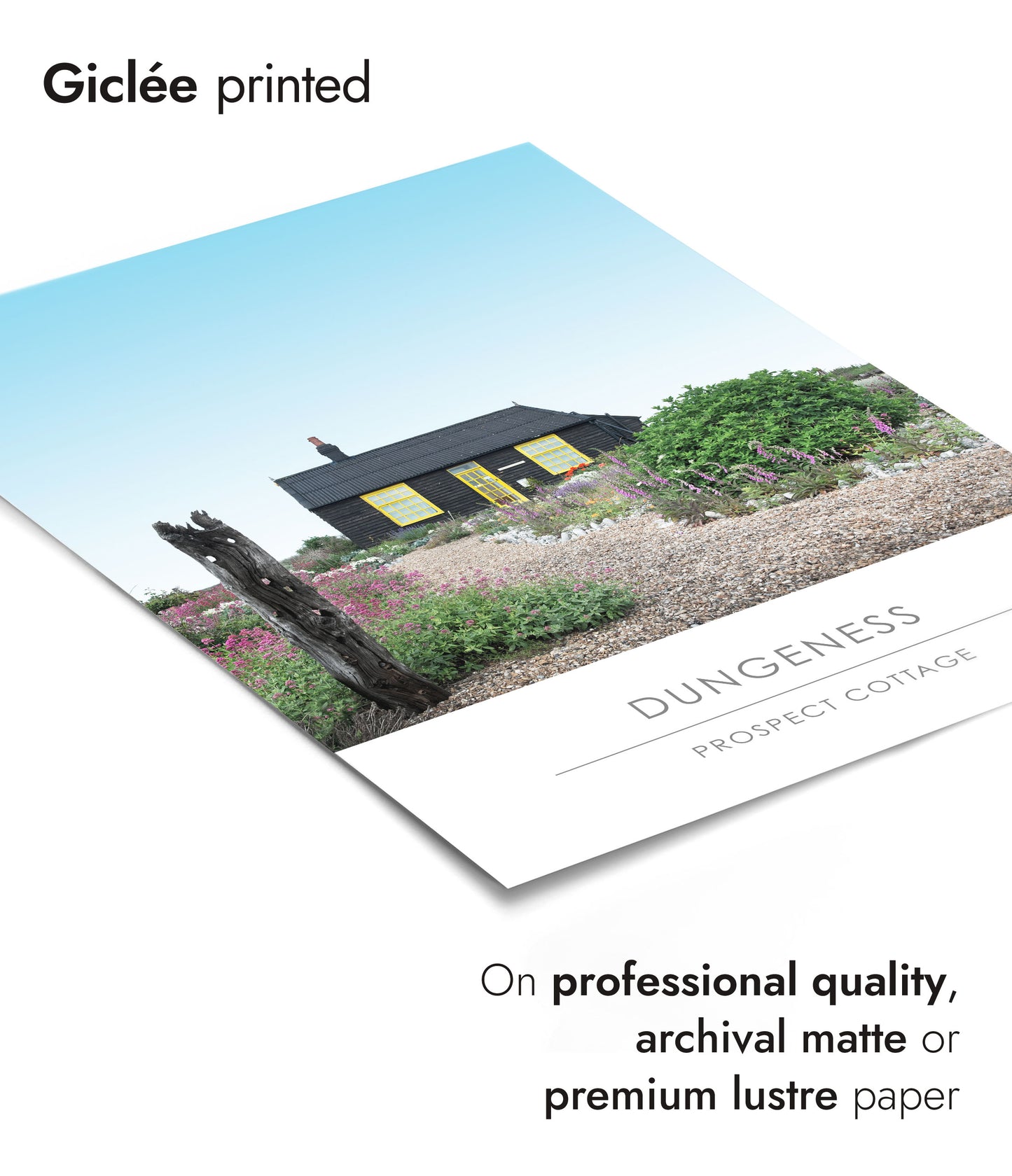 Cottage Prospect, Dungeness