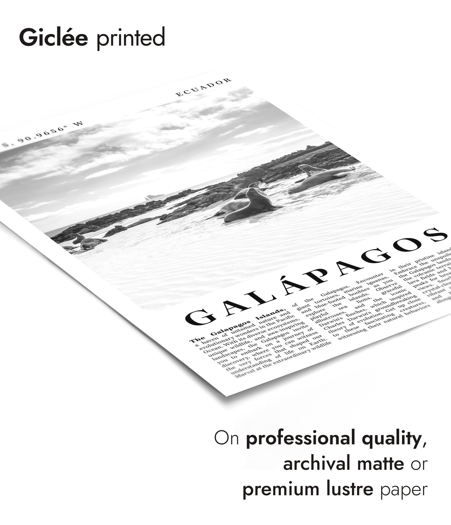 Galápagos - Ecuador