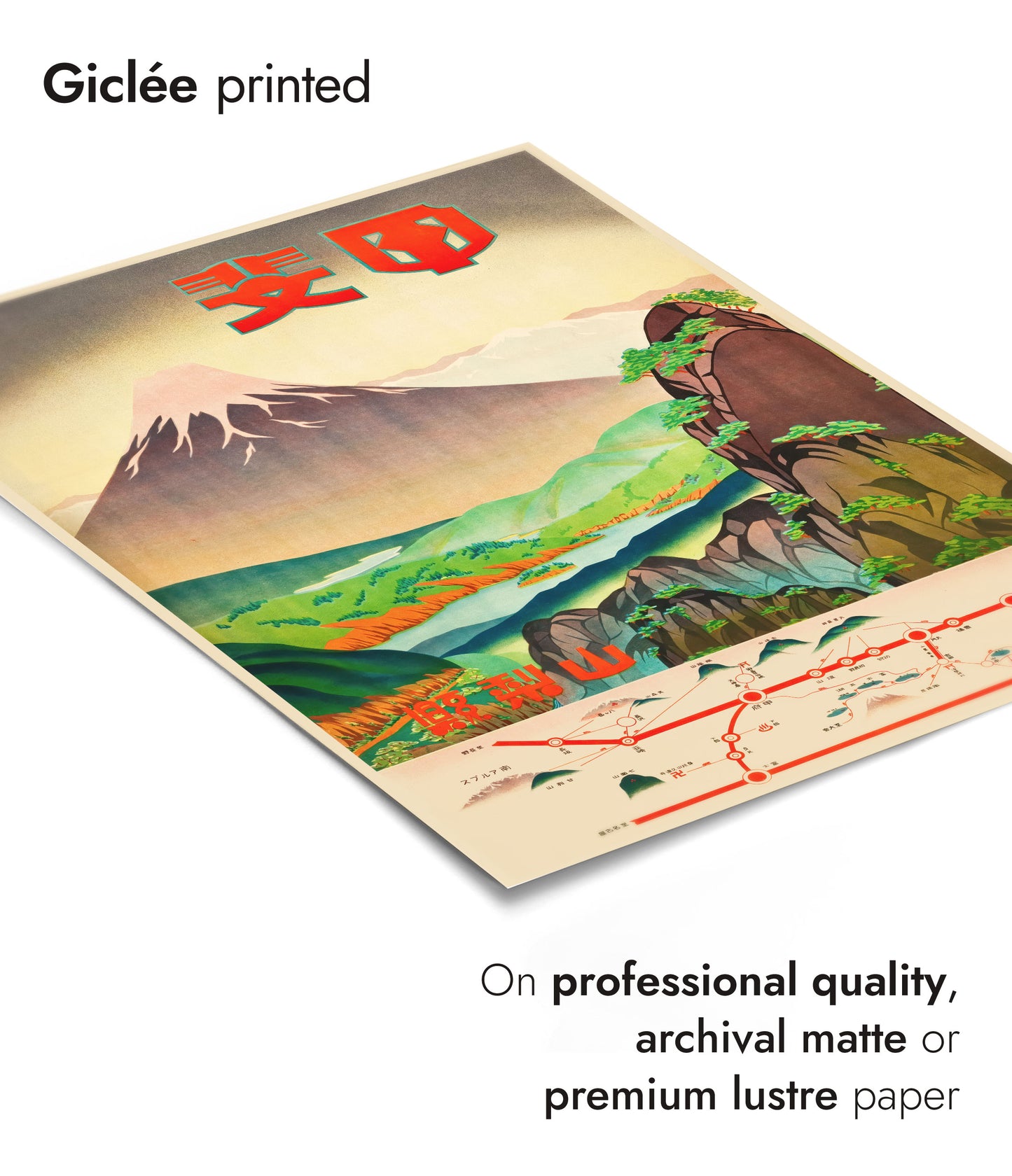 Champs de couleur, préfecture de Yamanashi