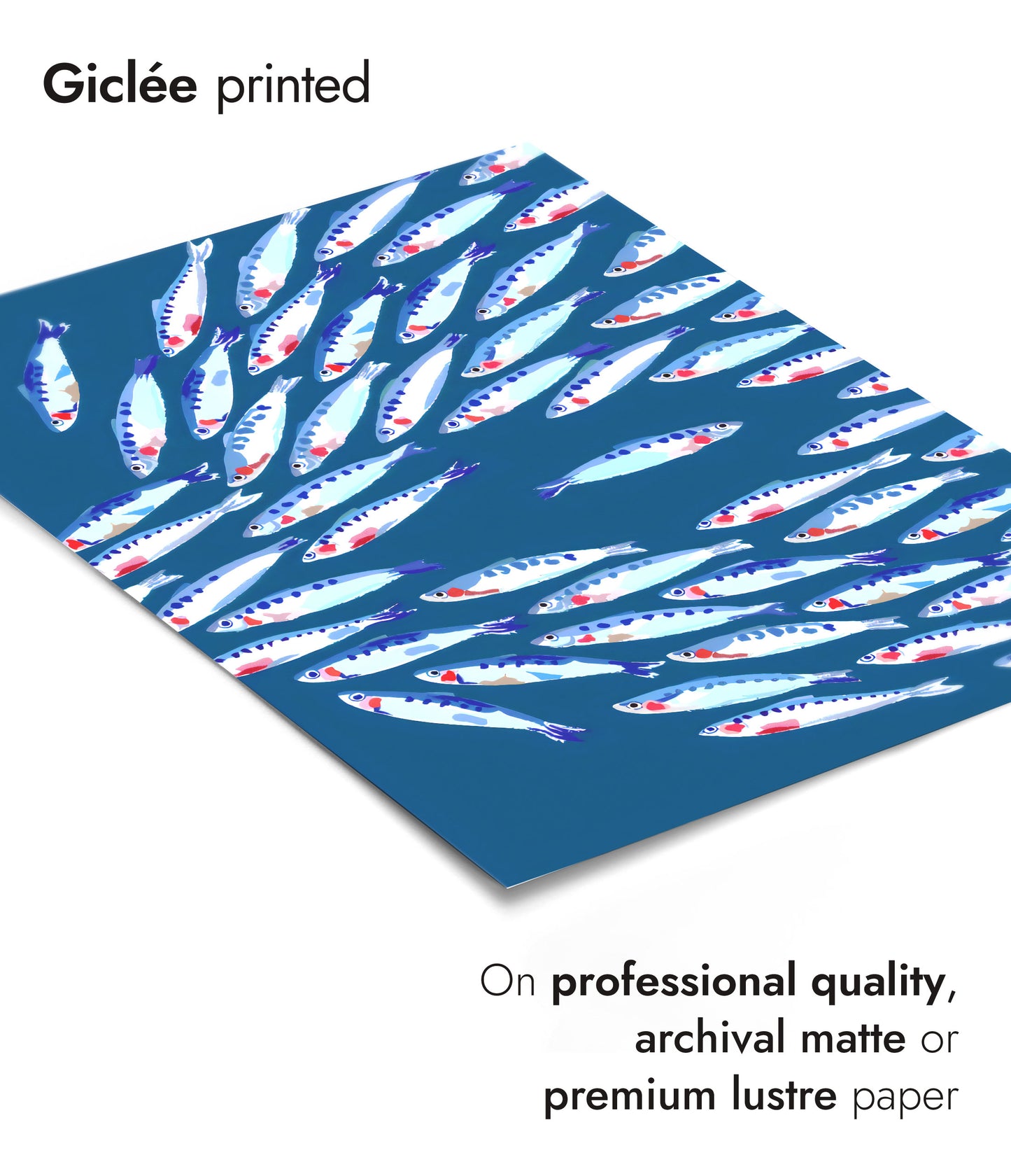 Gegen den Fischschwarm schwimmen