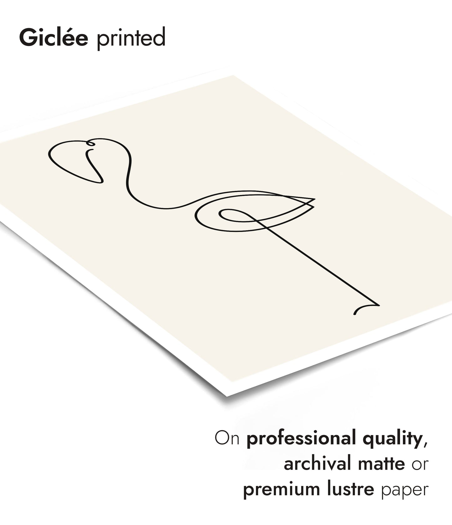 Gracieus Uitbundigheid