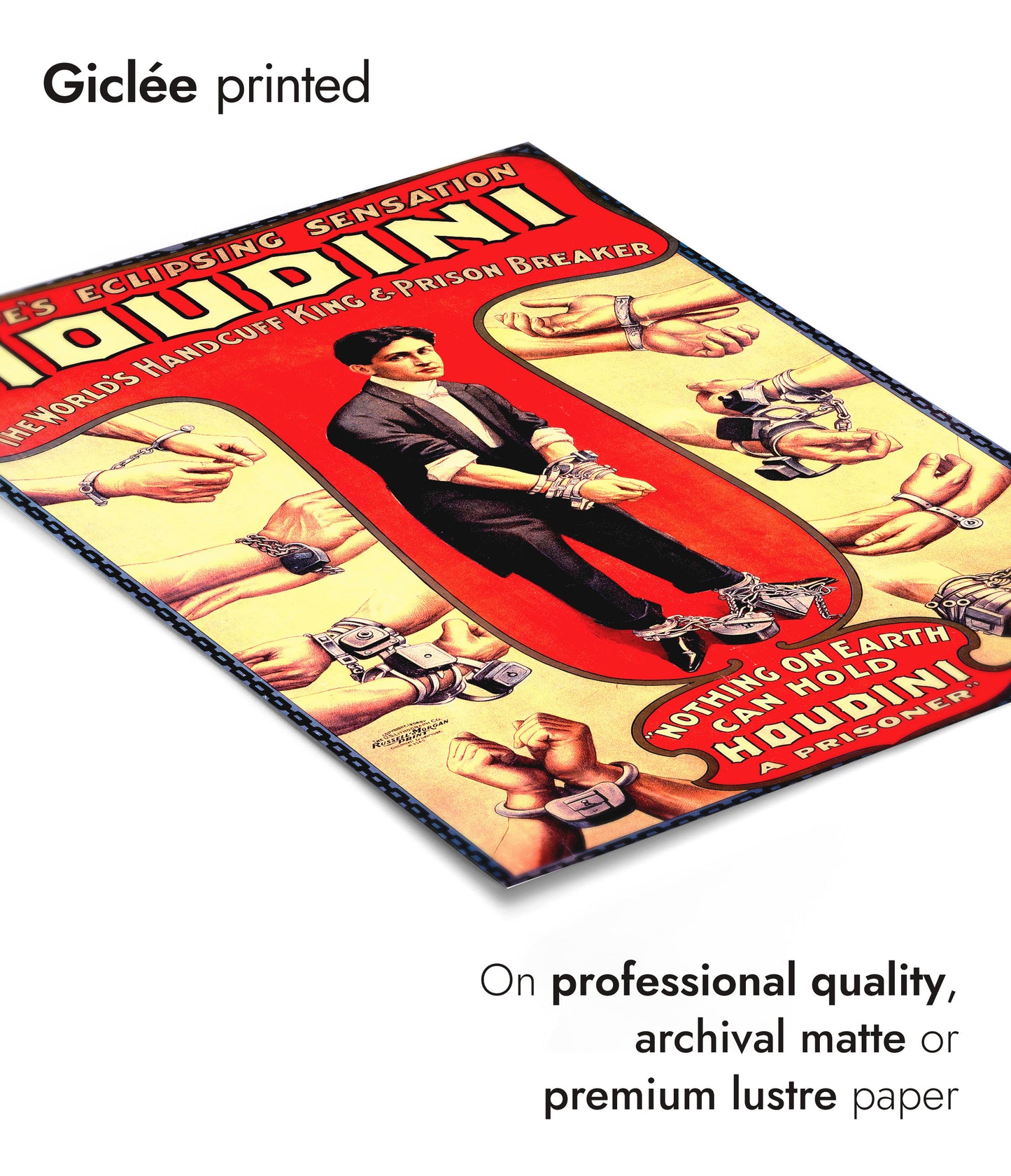 Houdini Escapologist