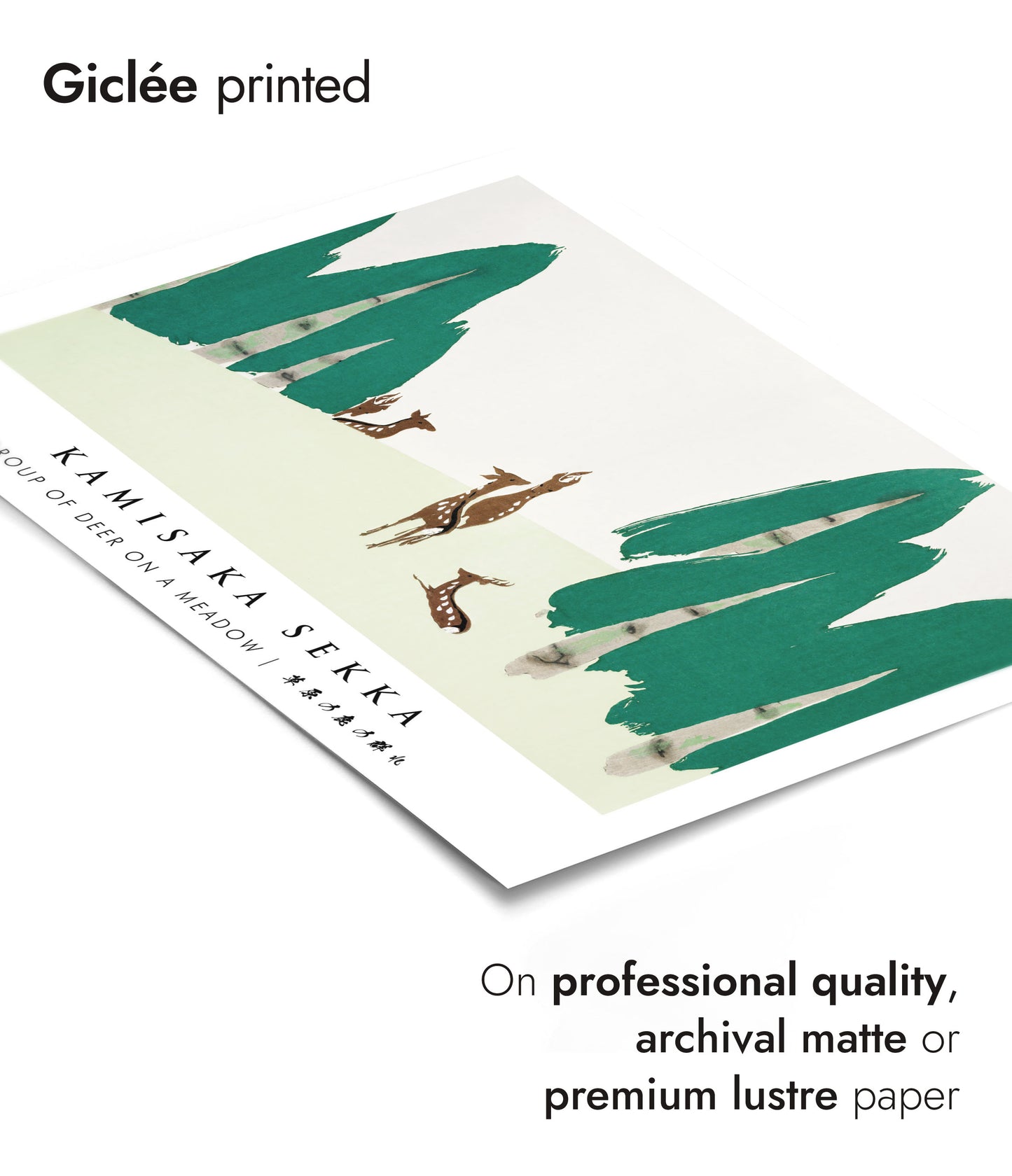 Group of Deer on a Meadow