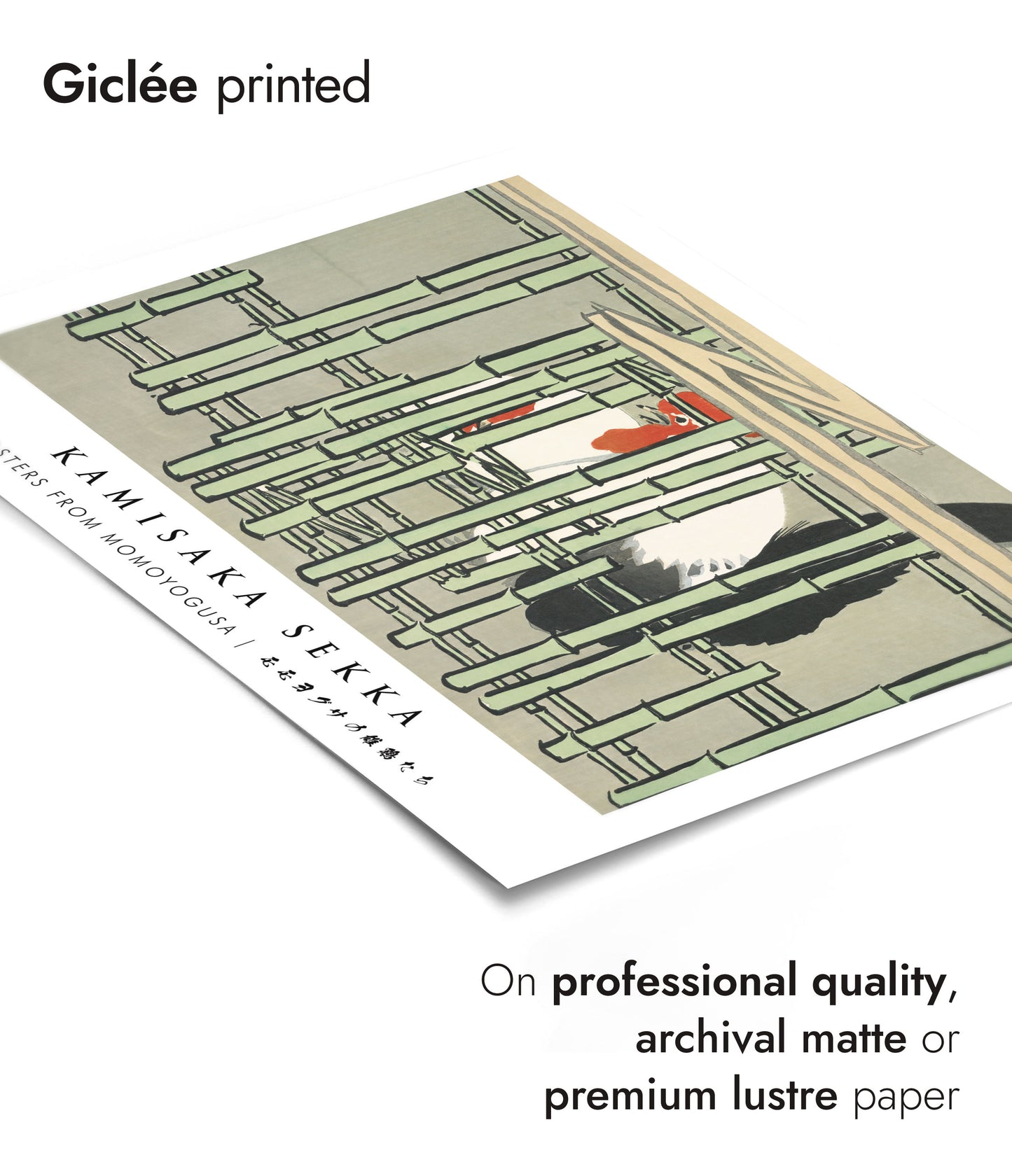 Roosters from Momoyogusa